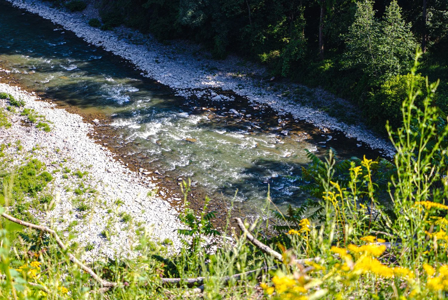 LetchworthStatePark-28June2026-LiamTheoPhotography-35.jpg