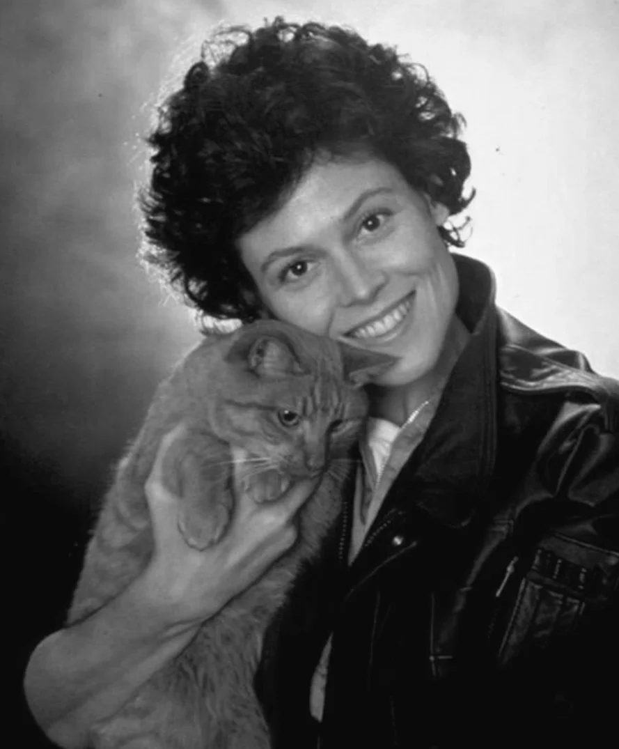 About Meghan Talk (A Tale of Chronic Perfectionism, Cursing at the Elderly &amp; Ellen Ripley)