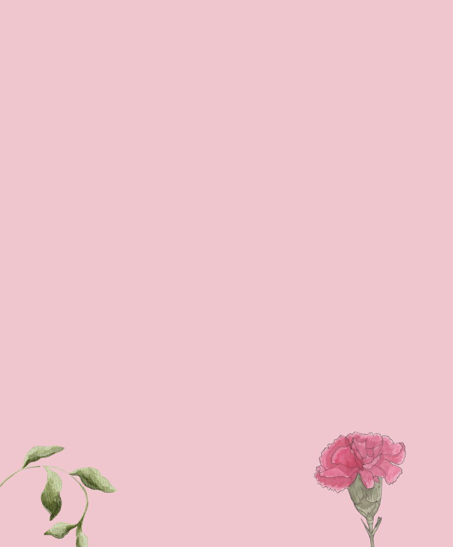 Flower-BG-bottom.jpg