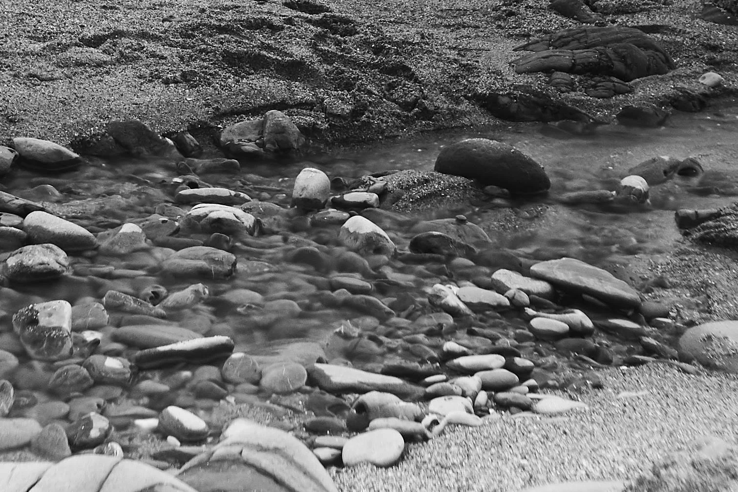 Pescadero Point Beach - 9