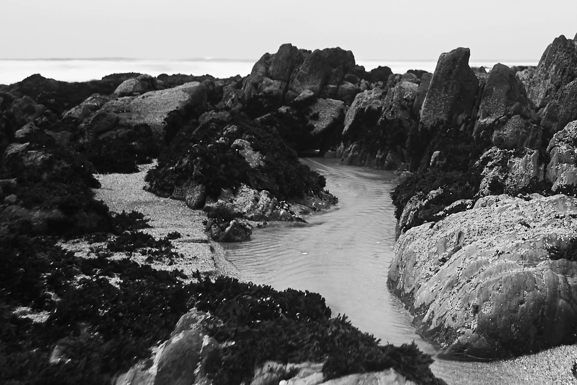 Pescadero Point Beach - 10