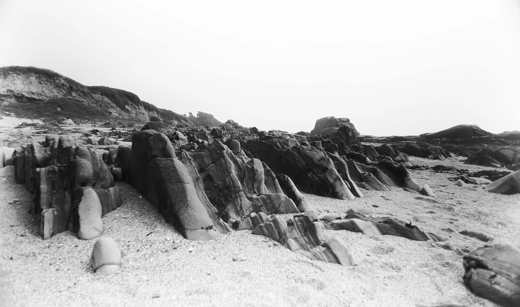 Pescadero Point Beach - 11