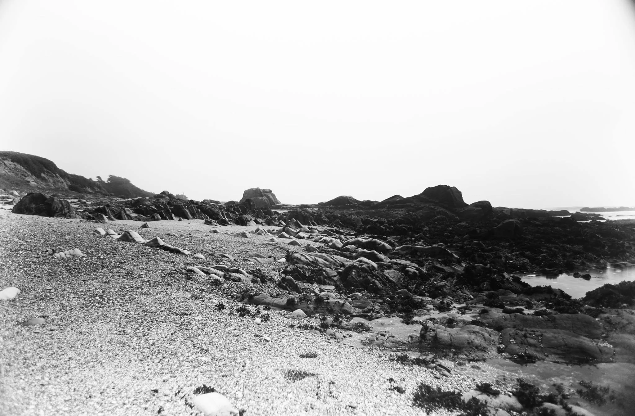 Pescadero Point Beach - 13