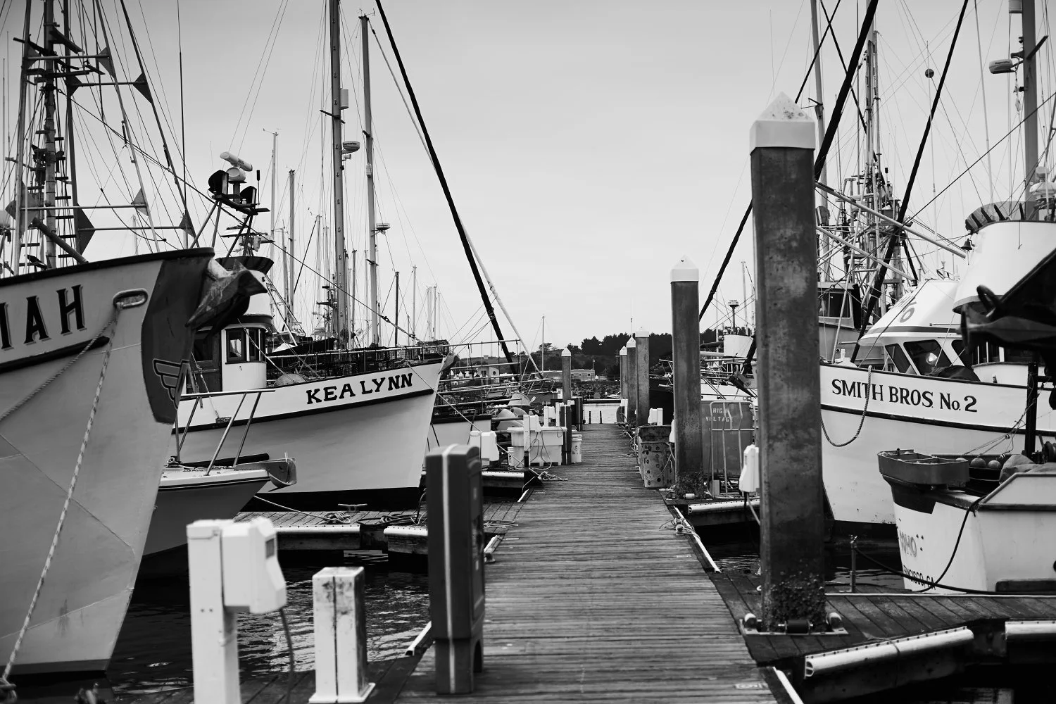 Pillar Point Harbor - 3