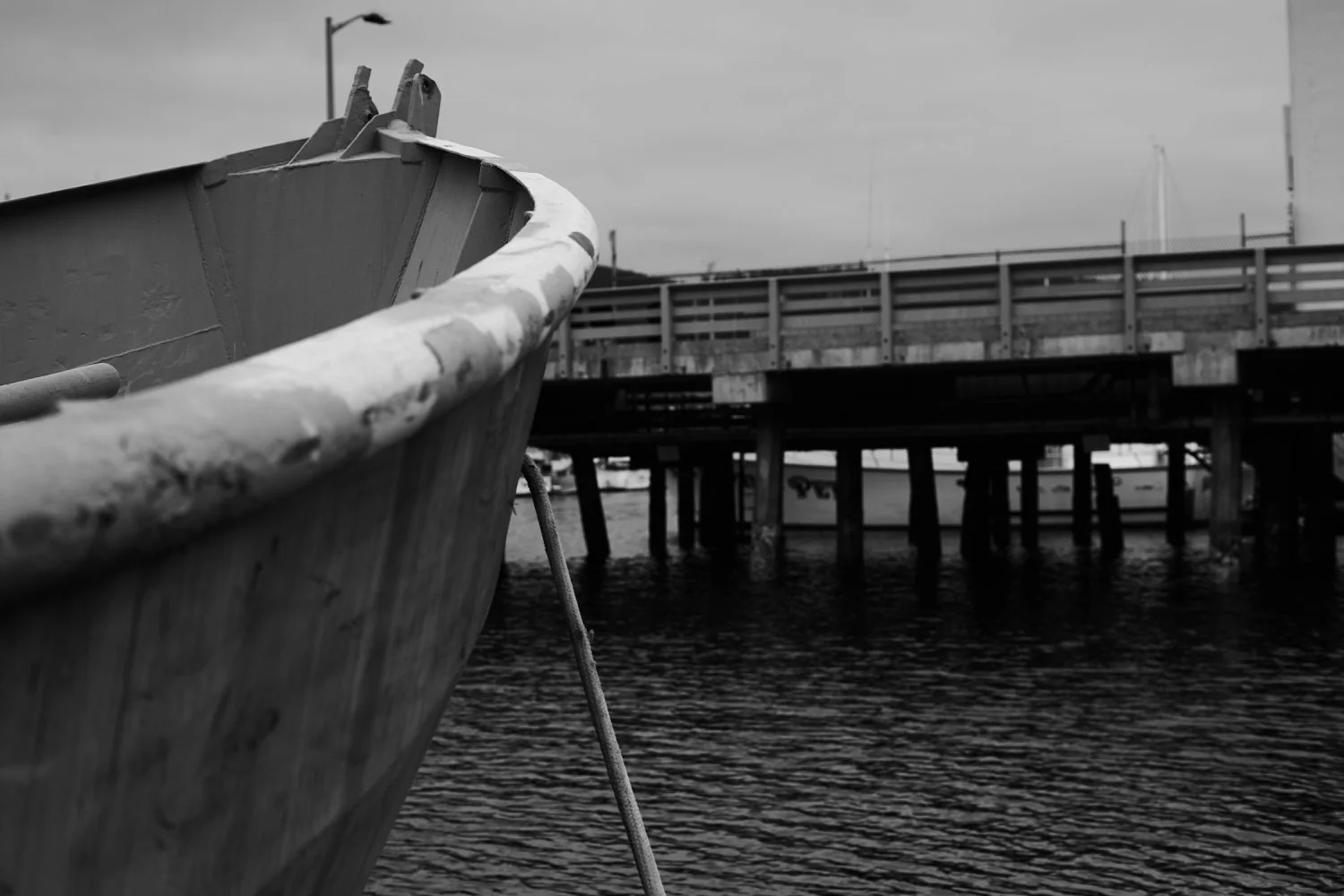 Pillar Point Harbor - 7