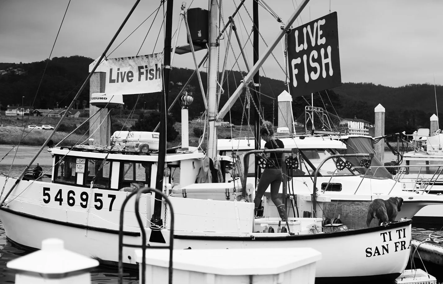Pillar Point Harbor - 14