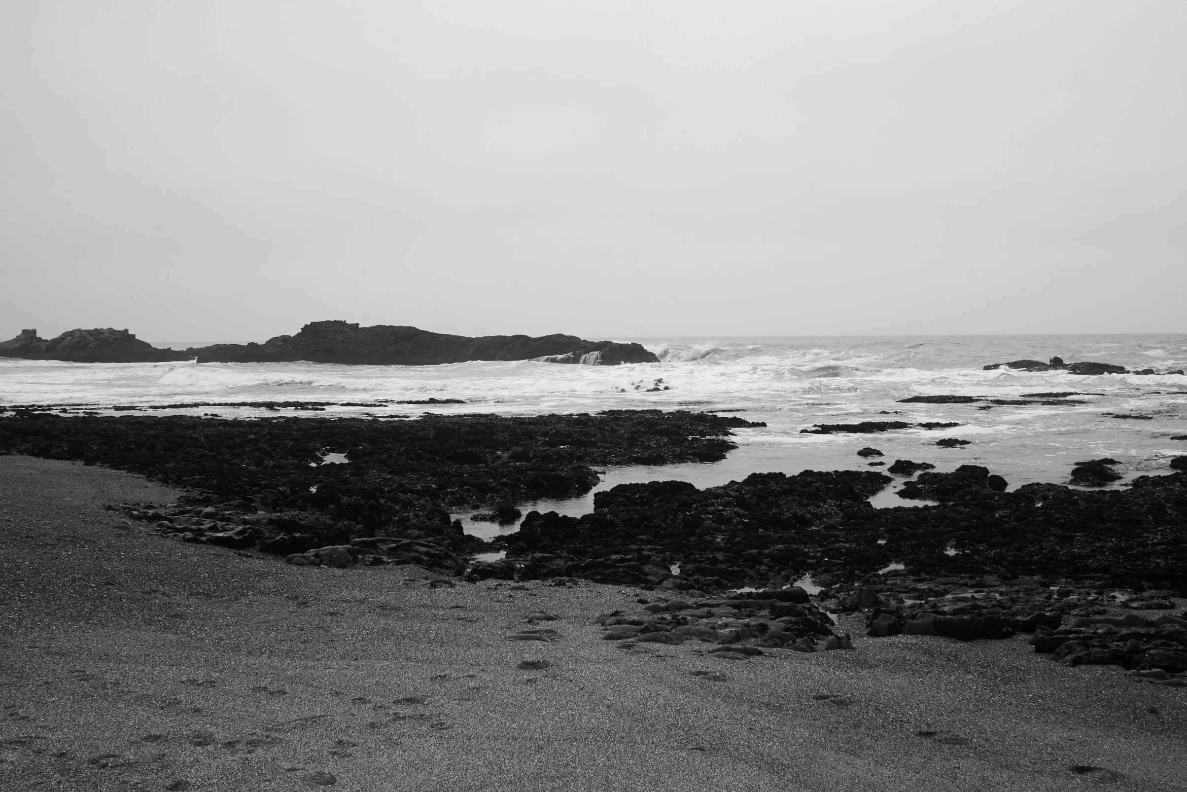 Pescadero Point Beach - 18