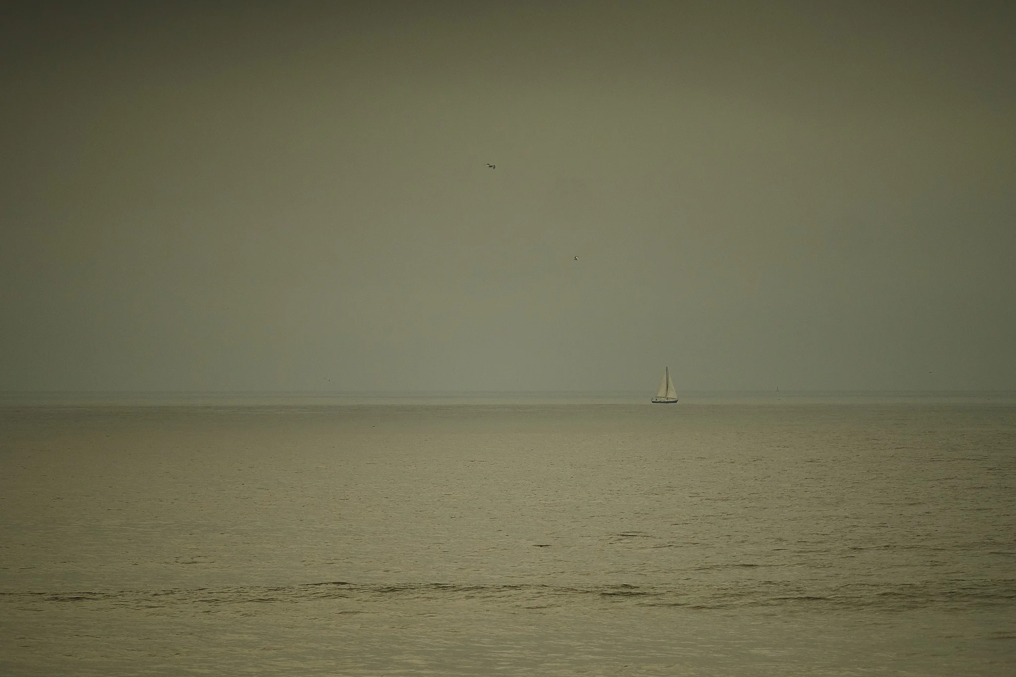 Fishing Rhythms - 6