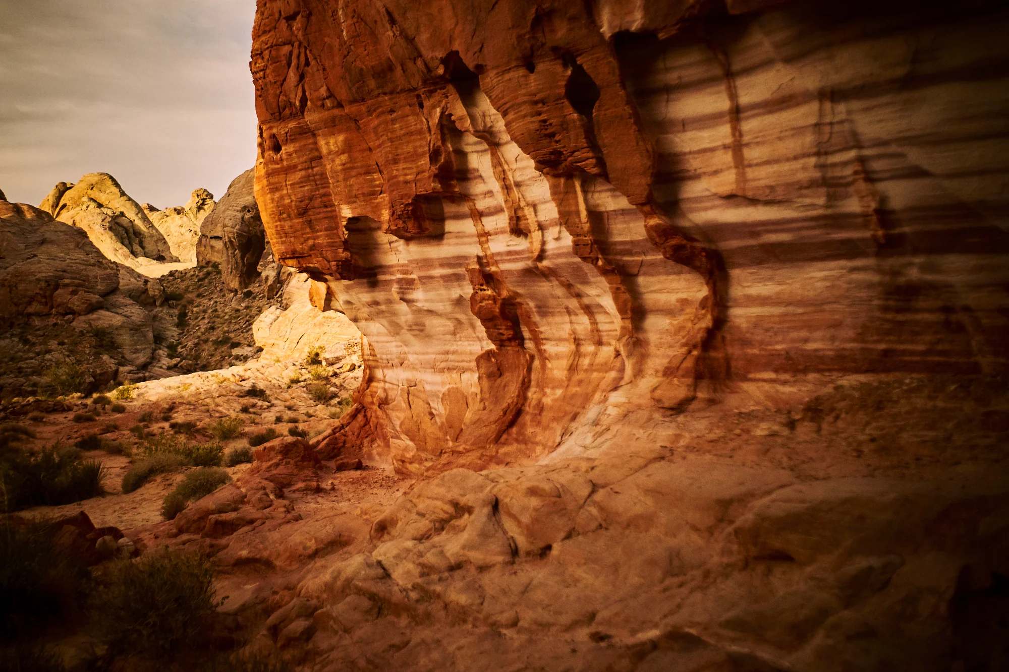 _DSC7548.jpg