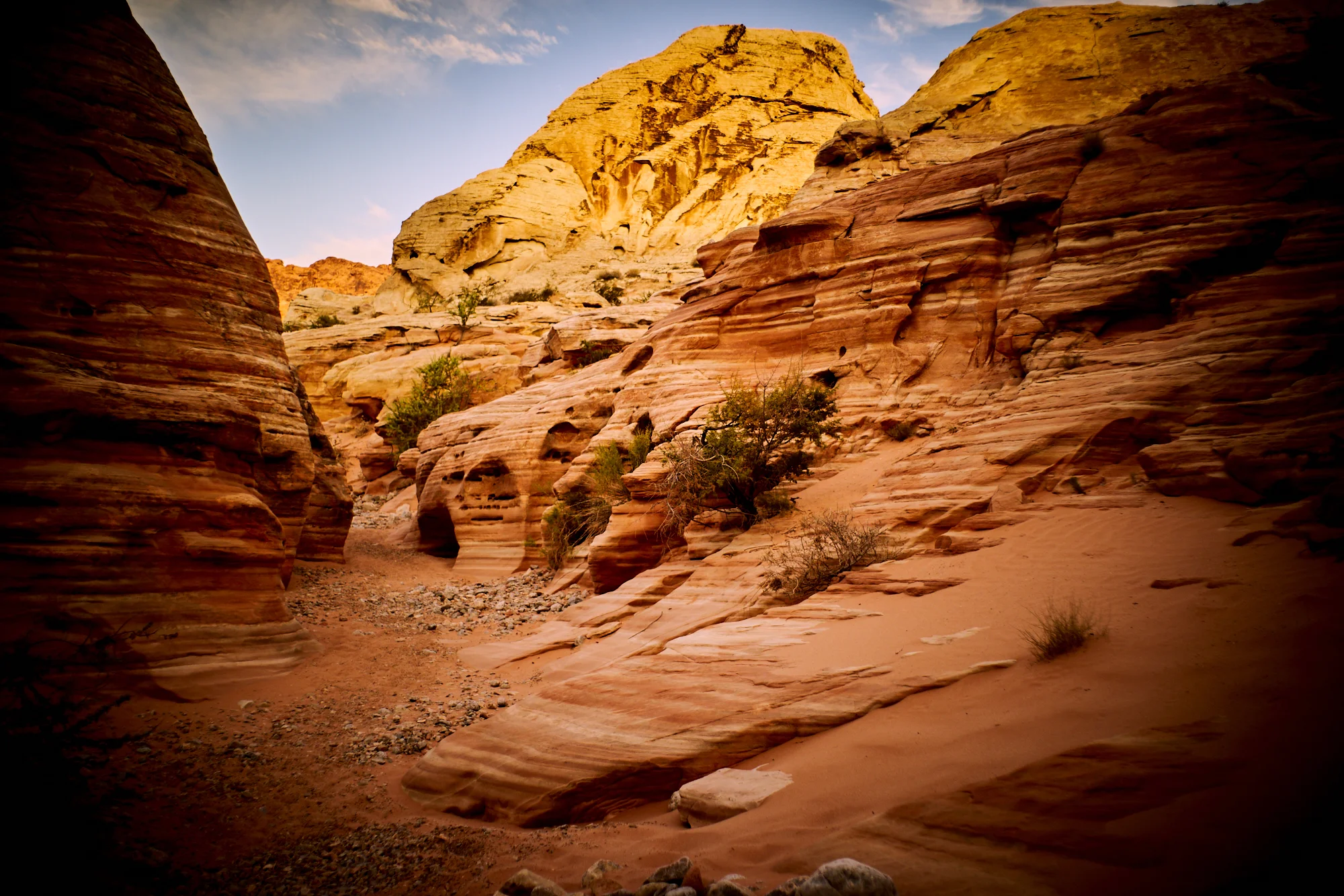 _DSC7556.jpg