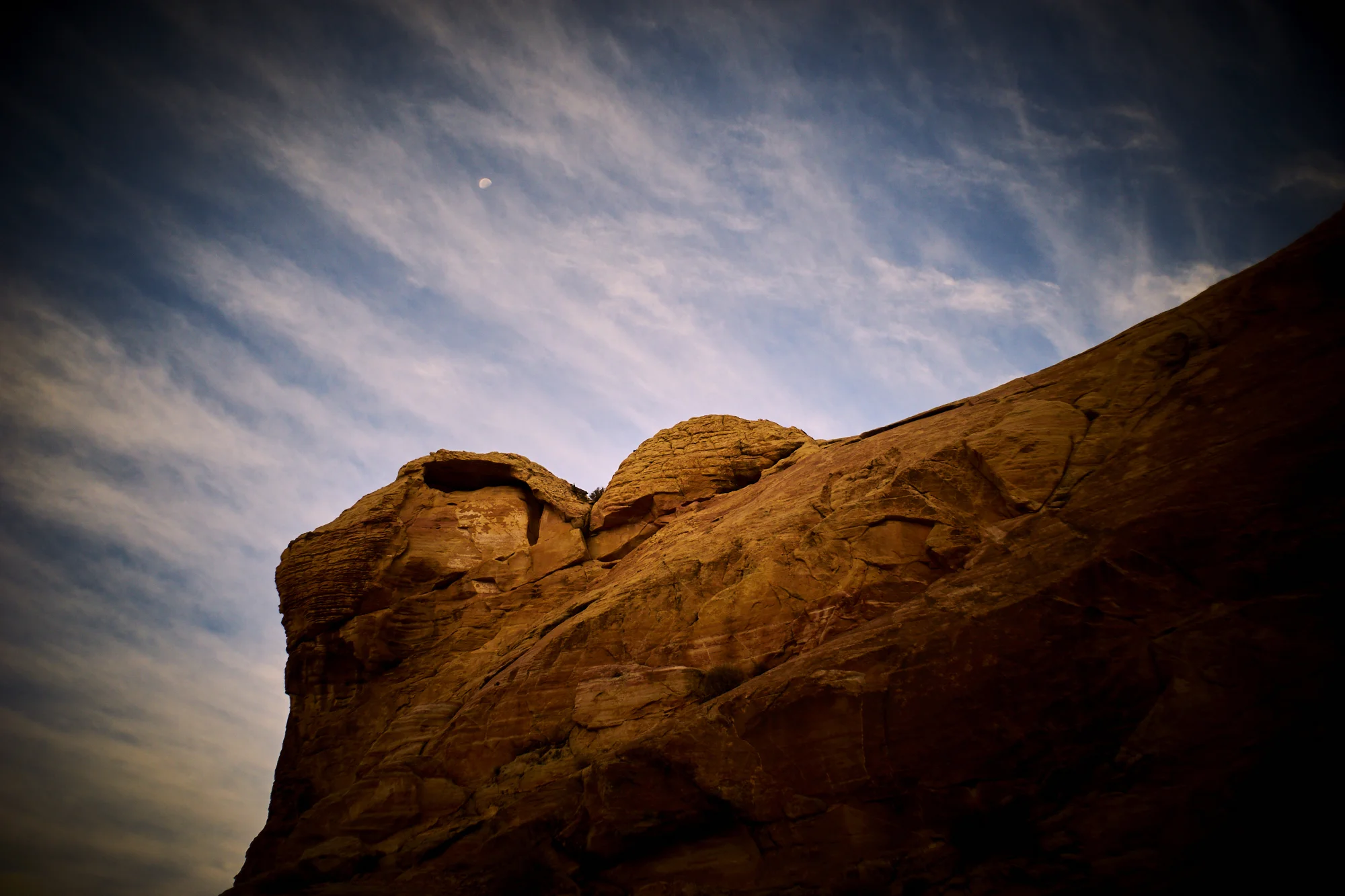 _DSC7557.jpg