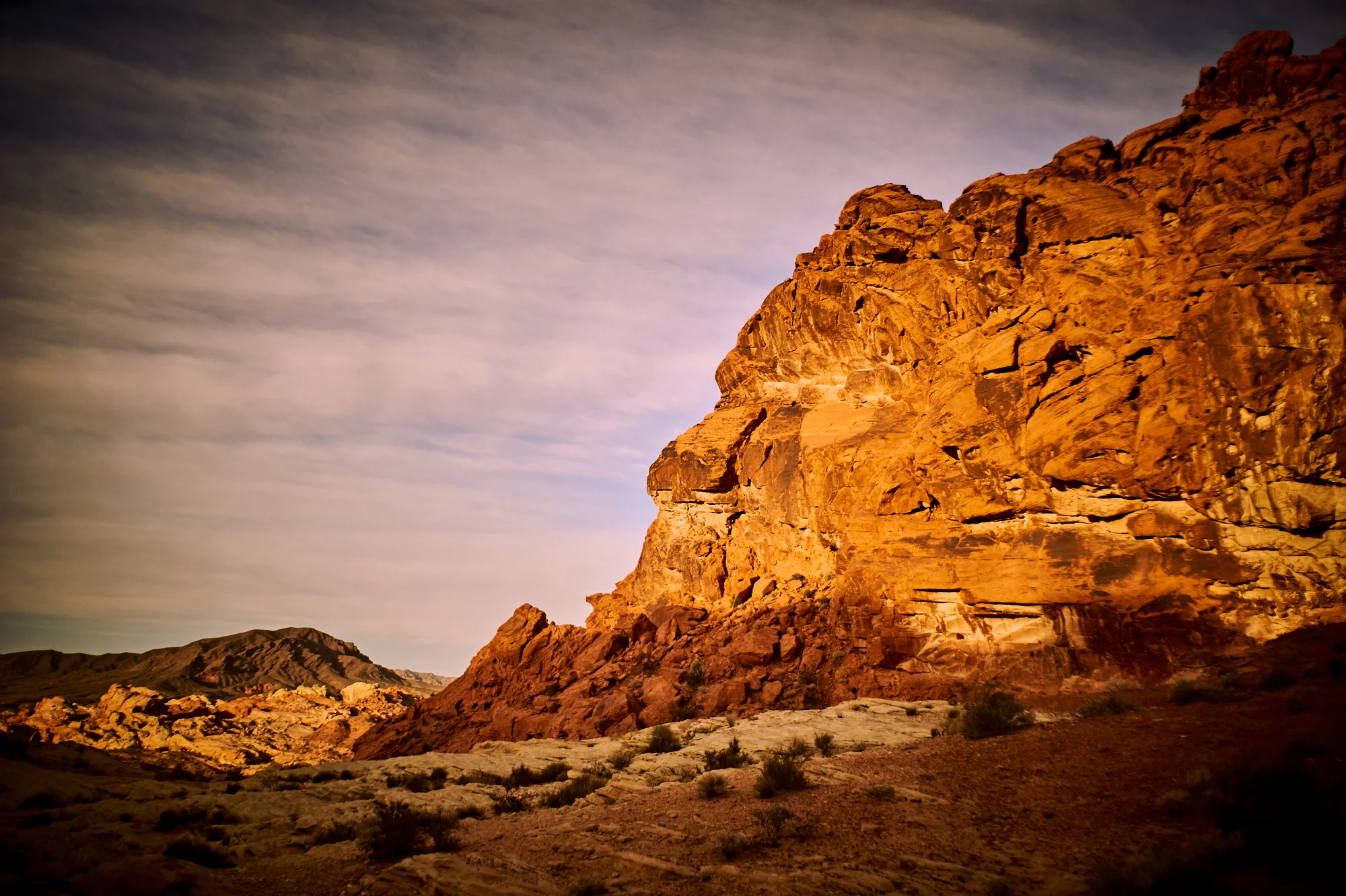 _DSC7561.jpg