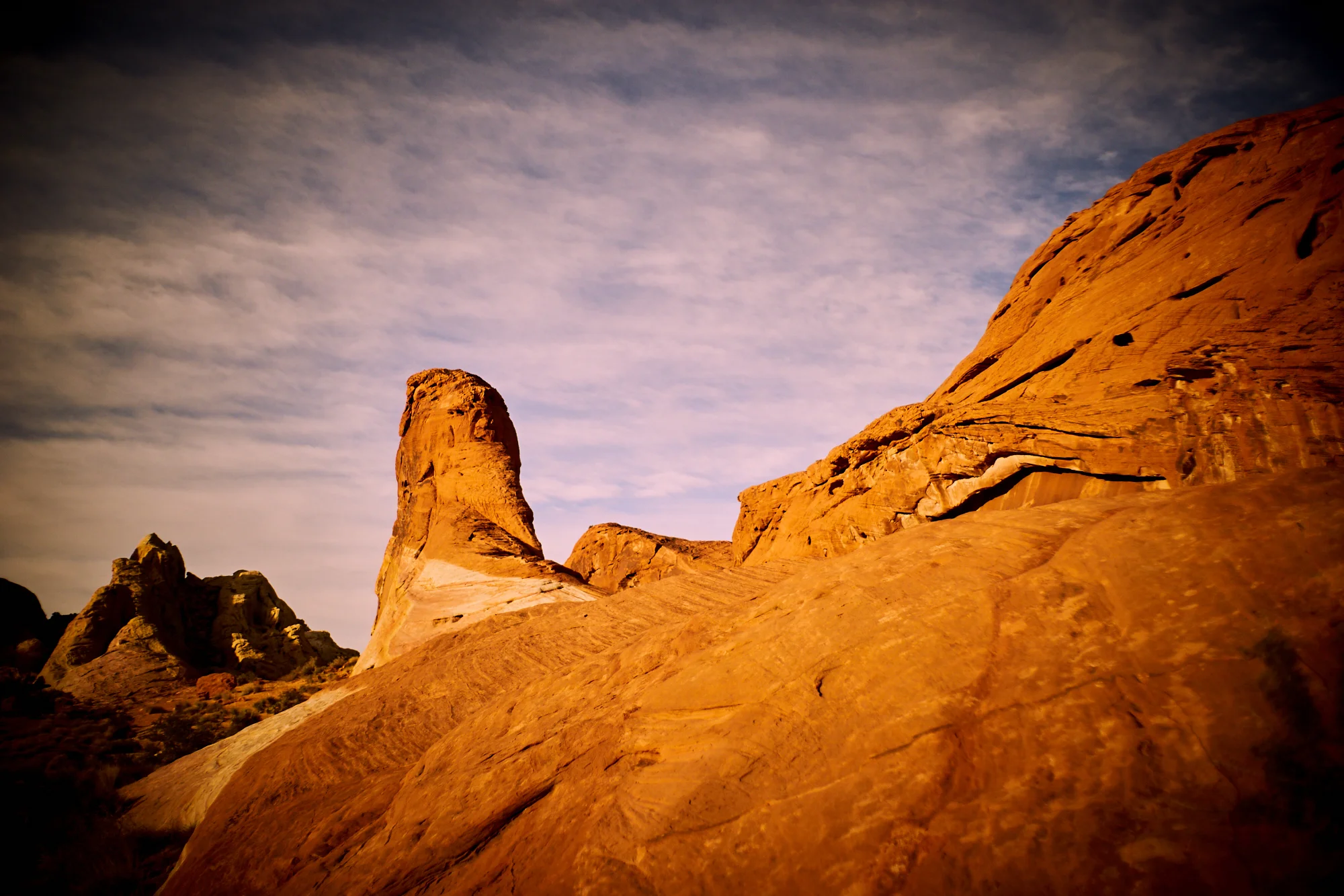 _DSC7567.jpg