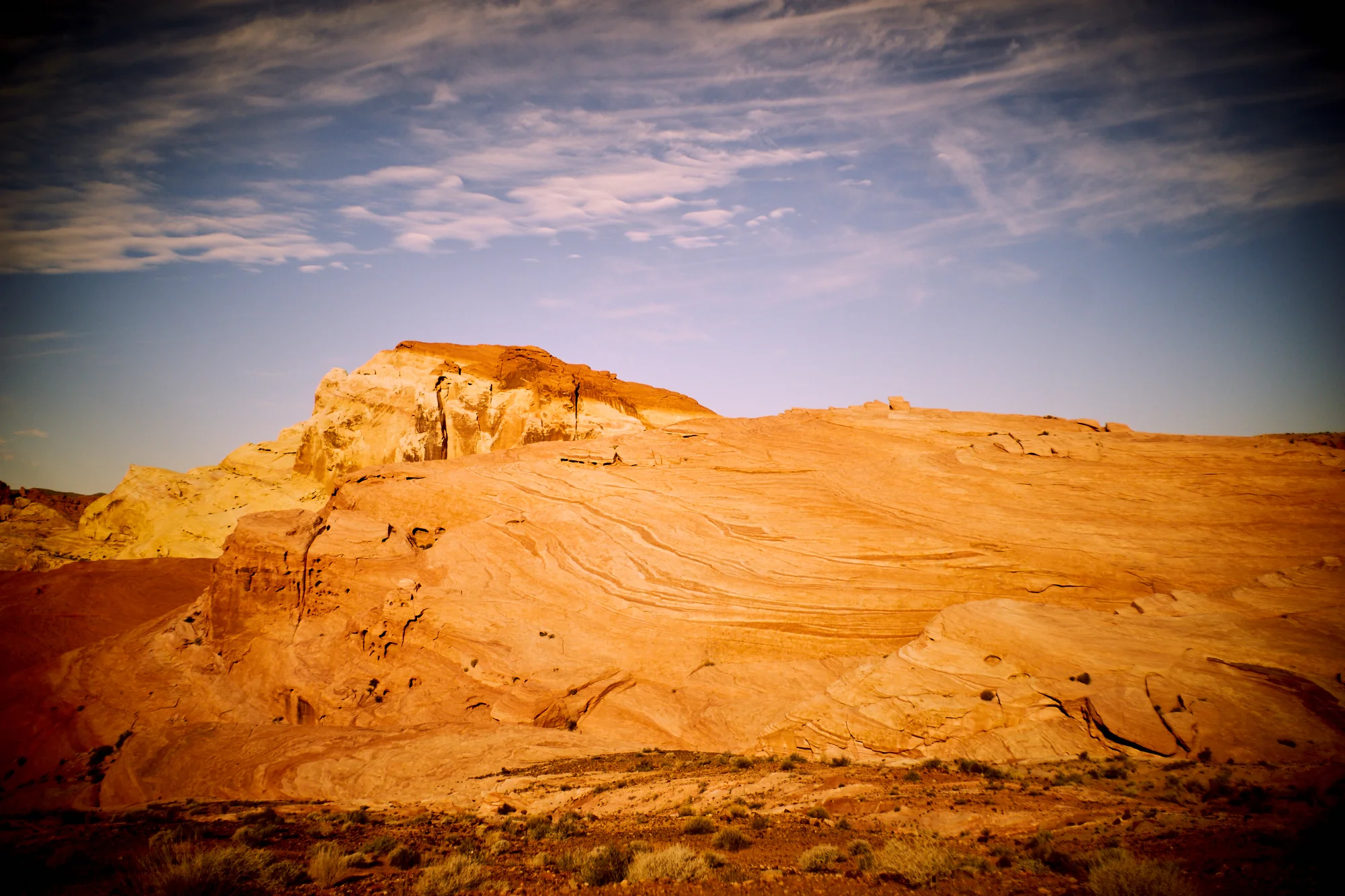 _DSC7569.jpg