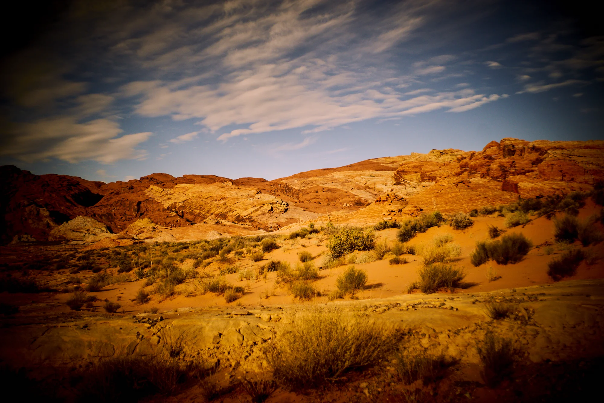 _DSC7574.jpg