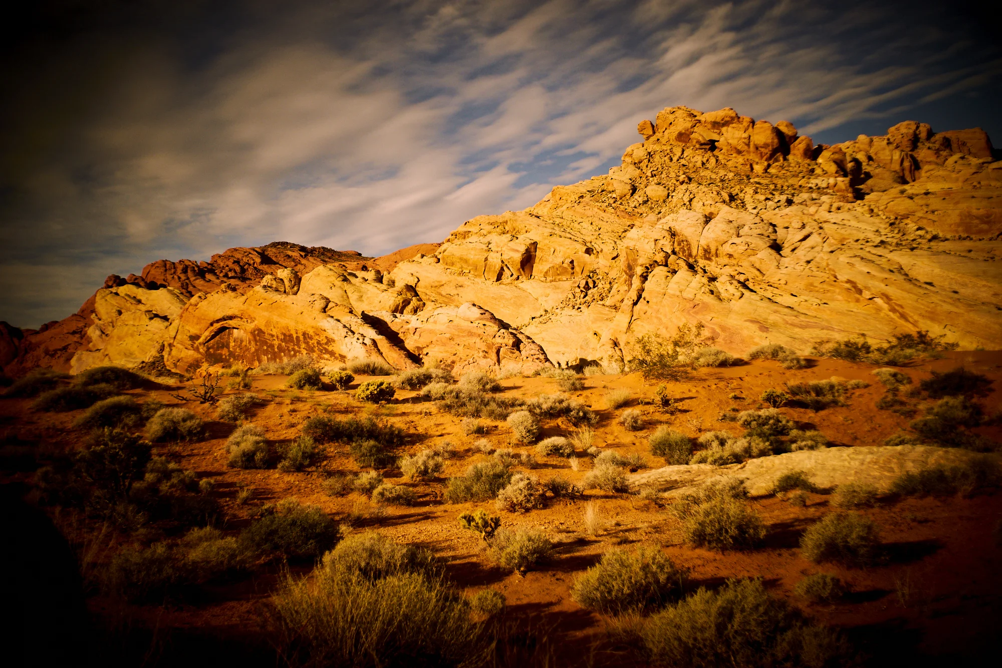 _DSC7577.jpg