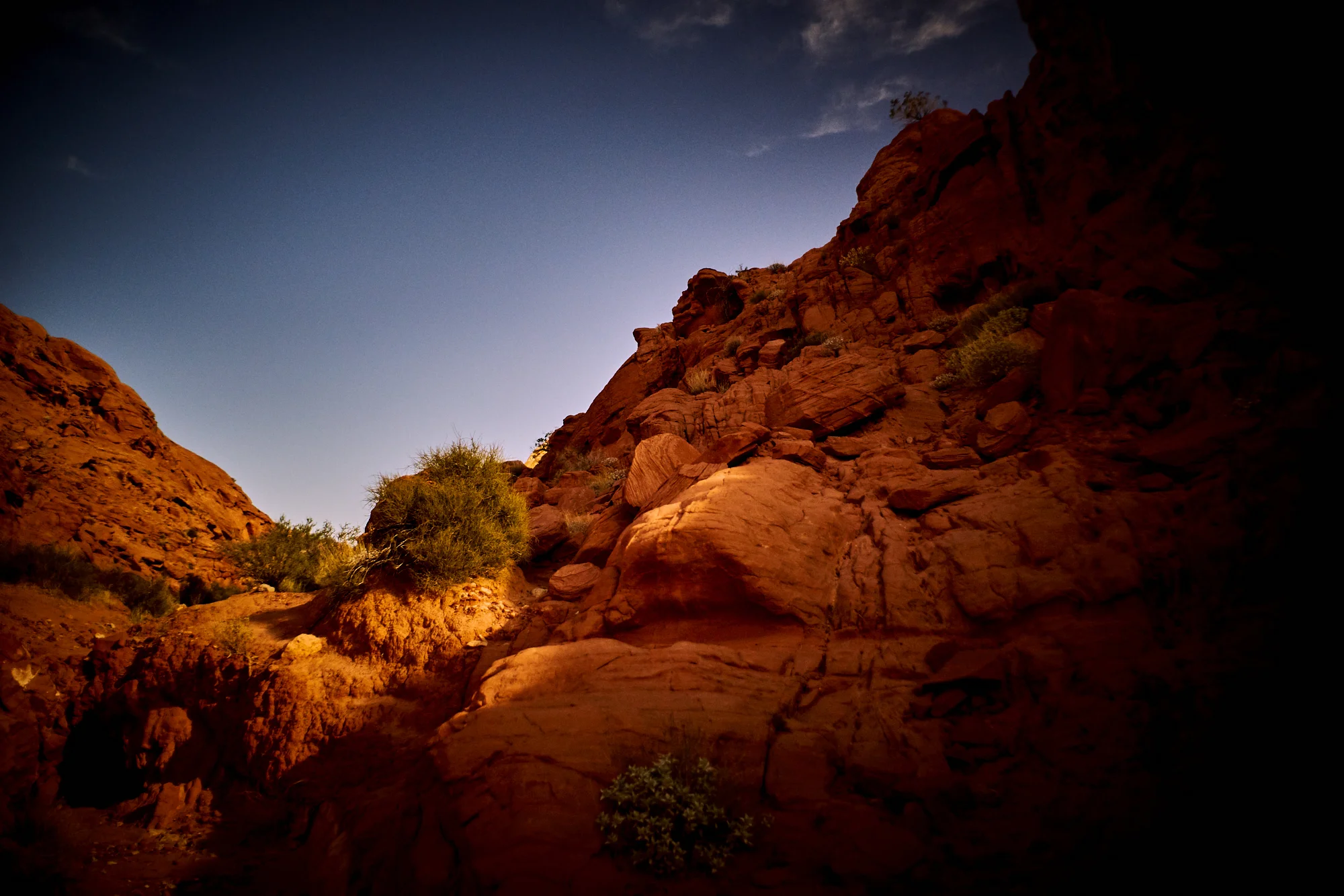 _DSC7585.jpg