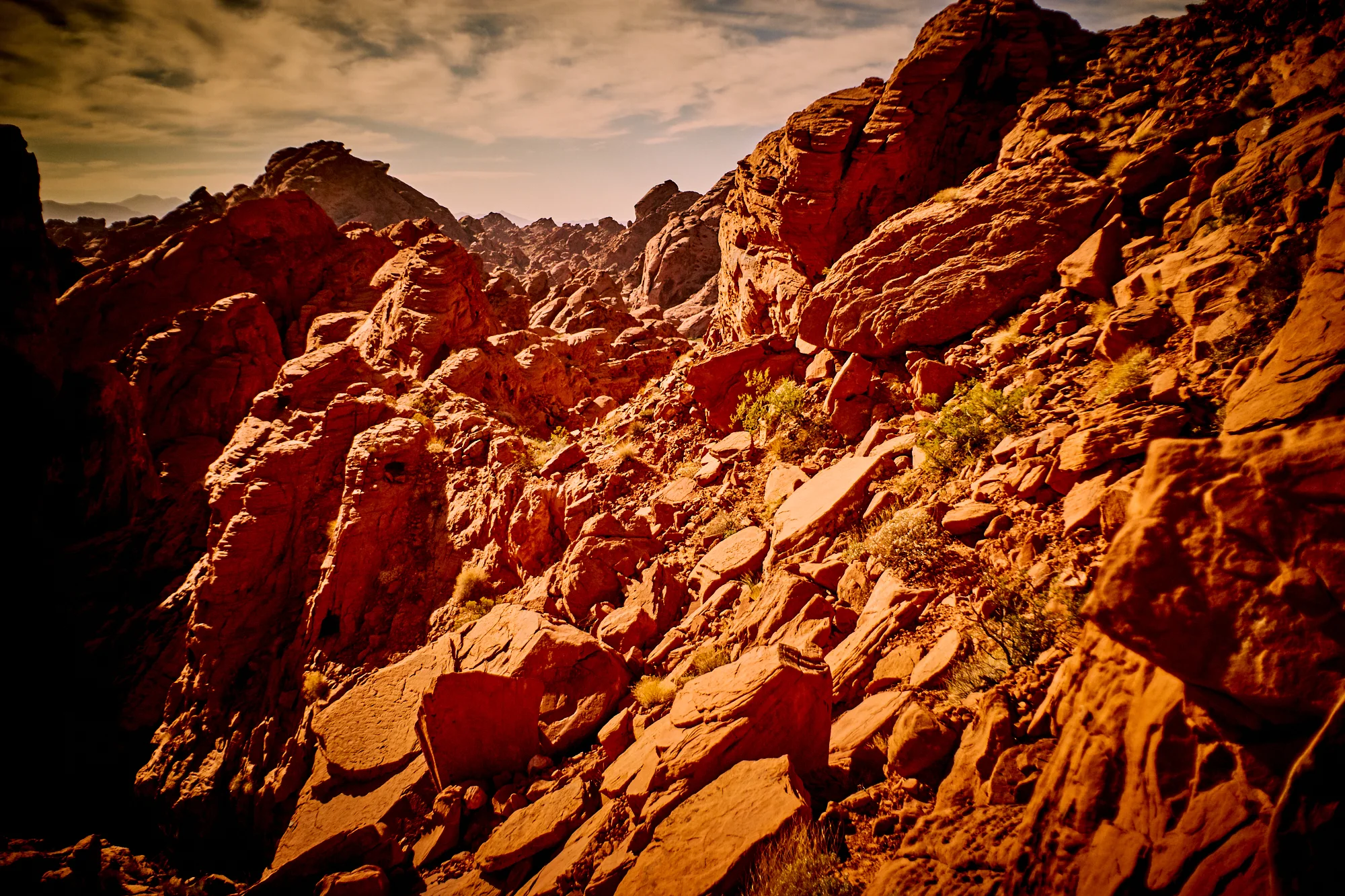 _DSC7587.jpg