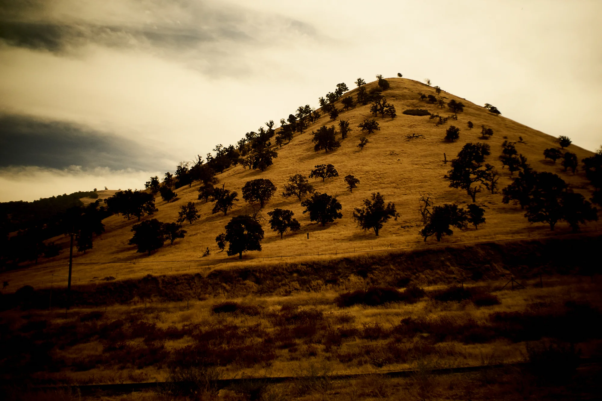 Golden Hills study Nº3