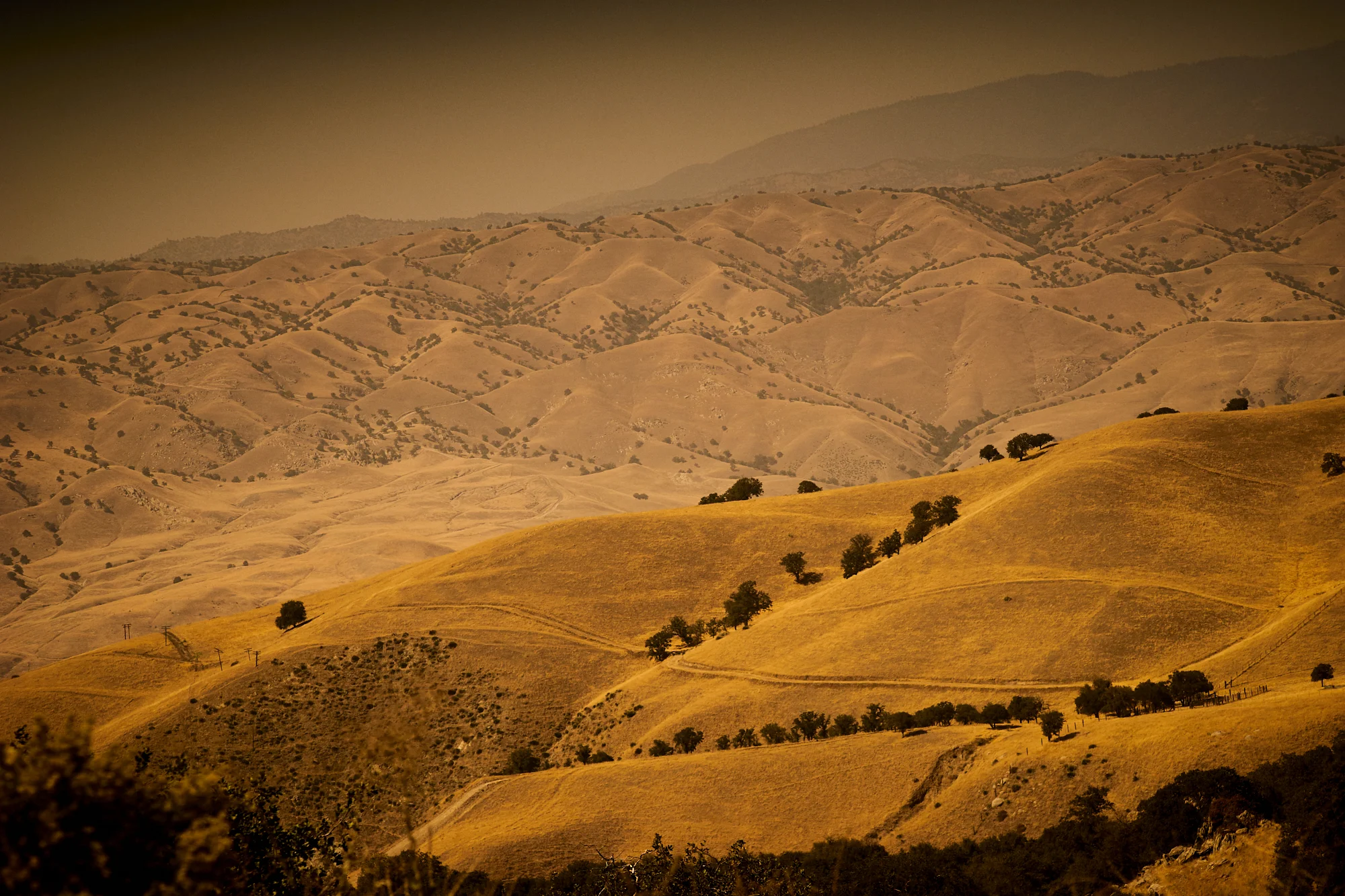 Golden Hills study Nº4
