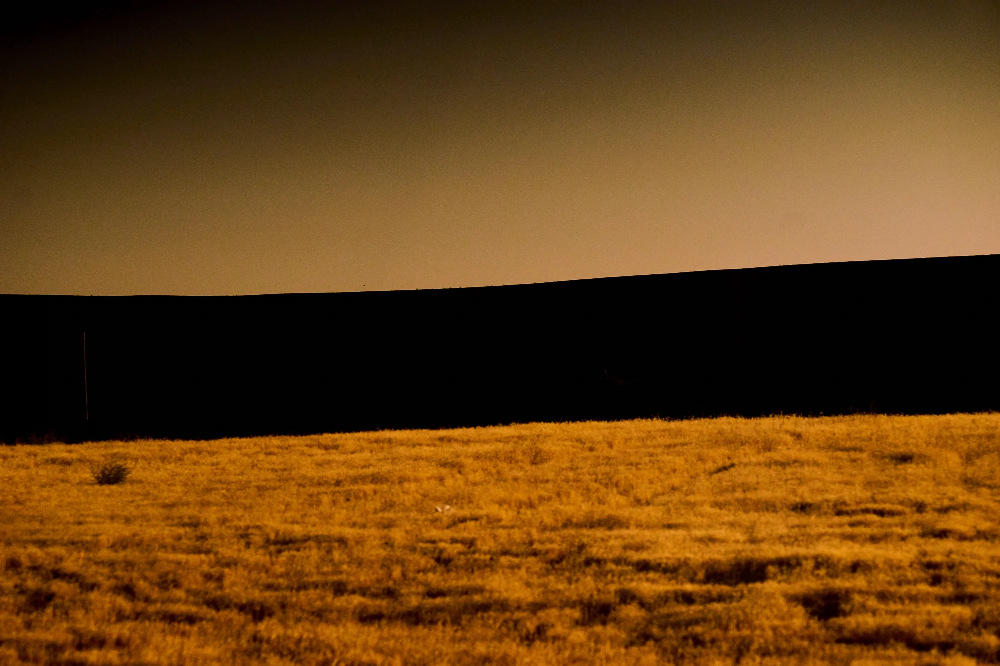Golden Hills study Nº16