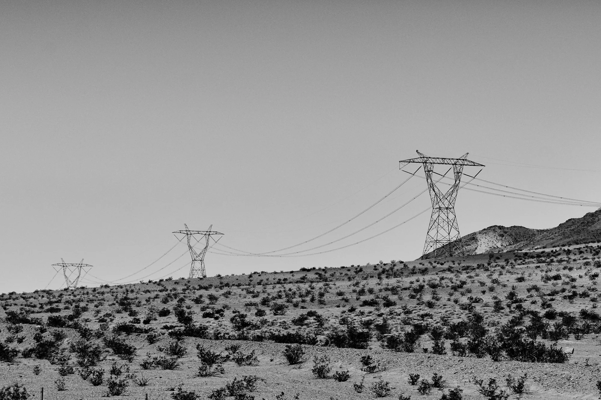 _DSC7648.jpg