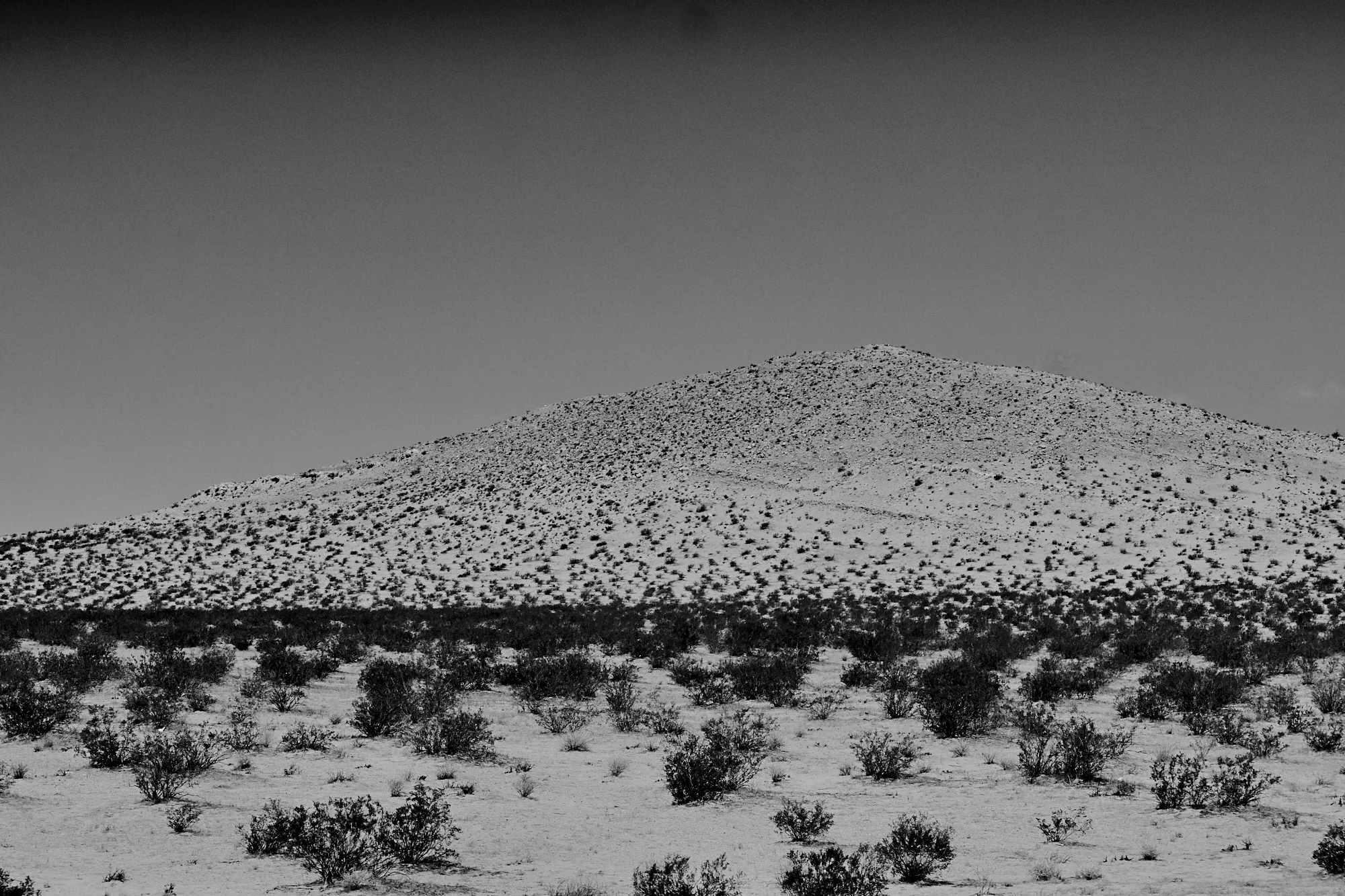 _DSC7650.jpg