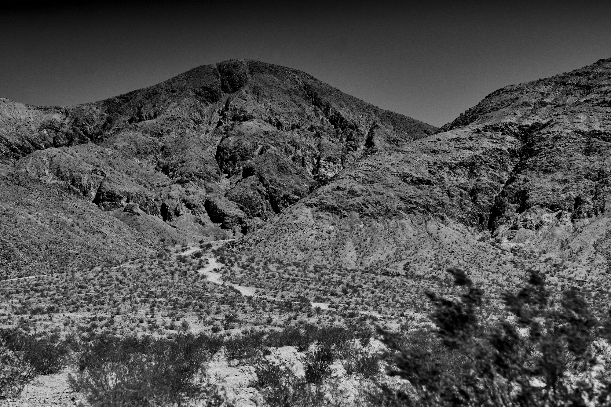 _DSC7656.jpg