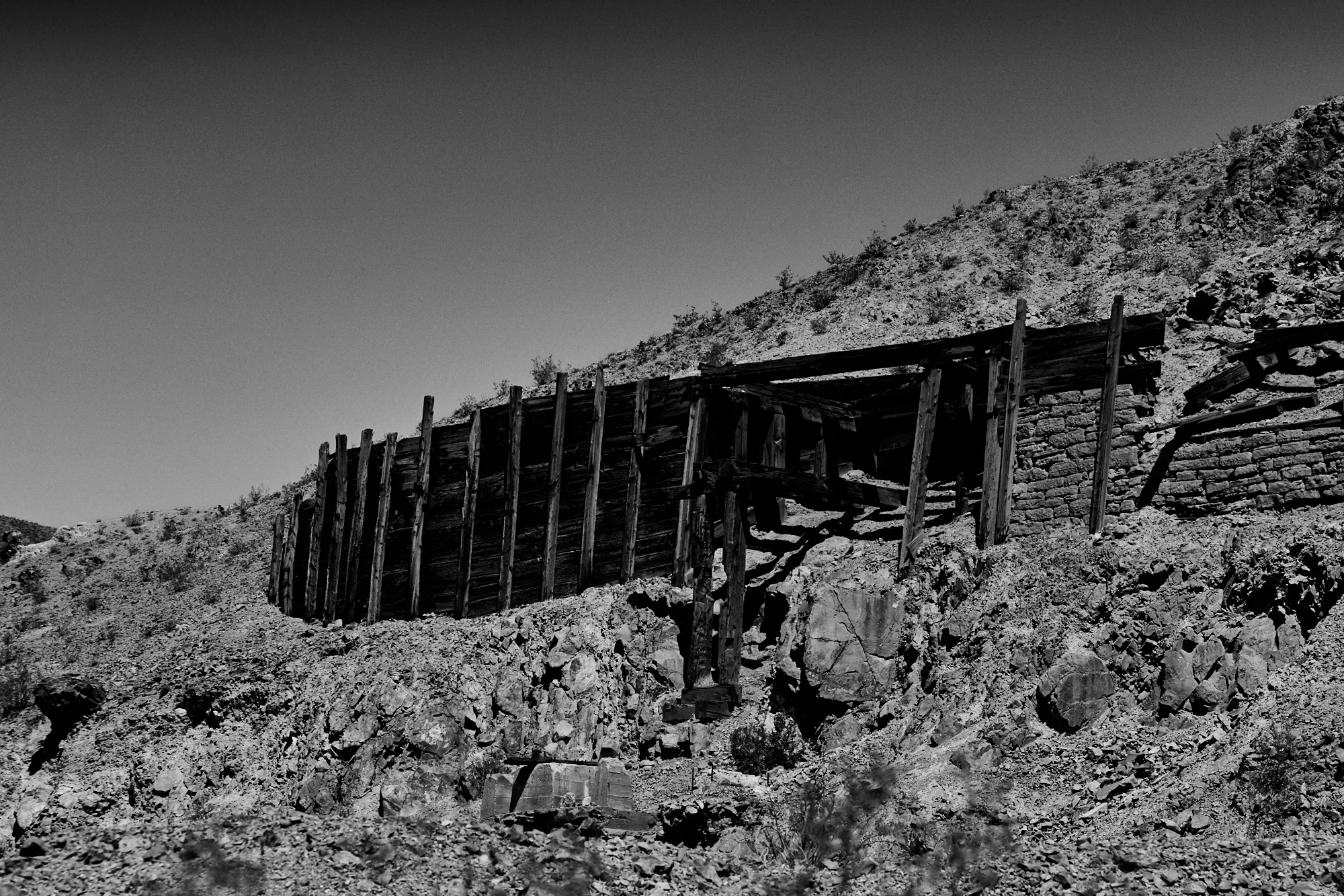 _DSC7660.jpg