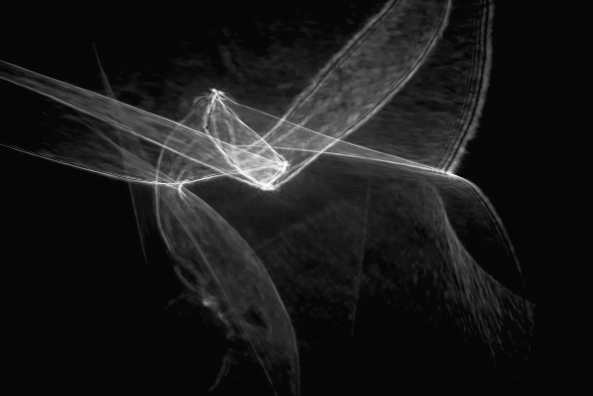 Tricks of the light study Nº16