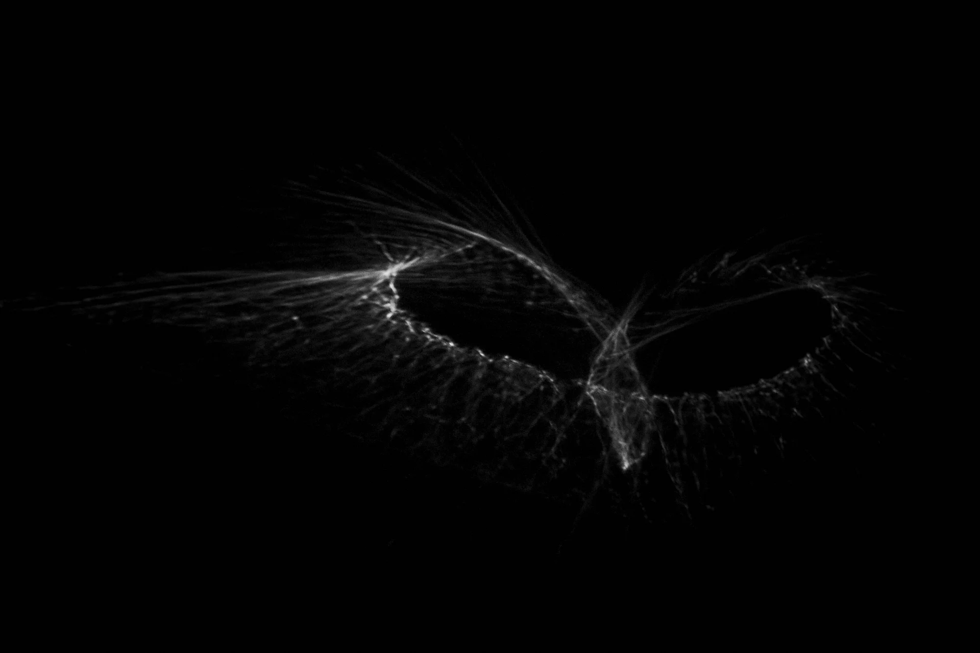 Tricks of the light study Nº34
