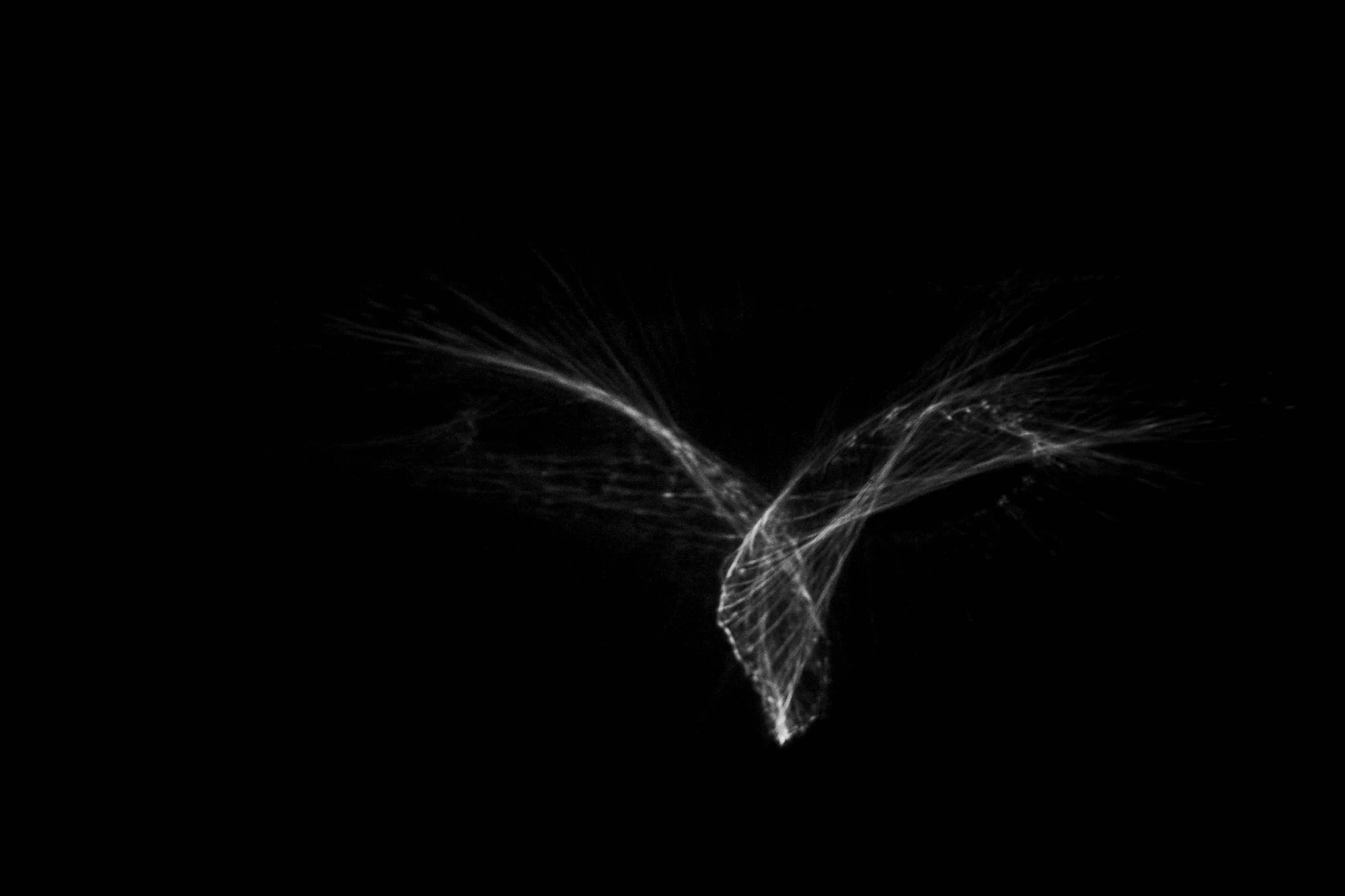 Tricks of the light study Nº37