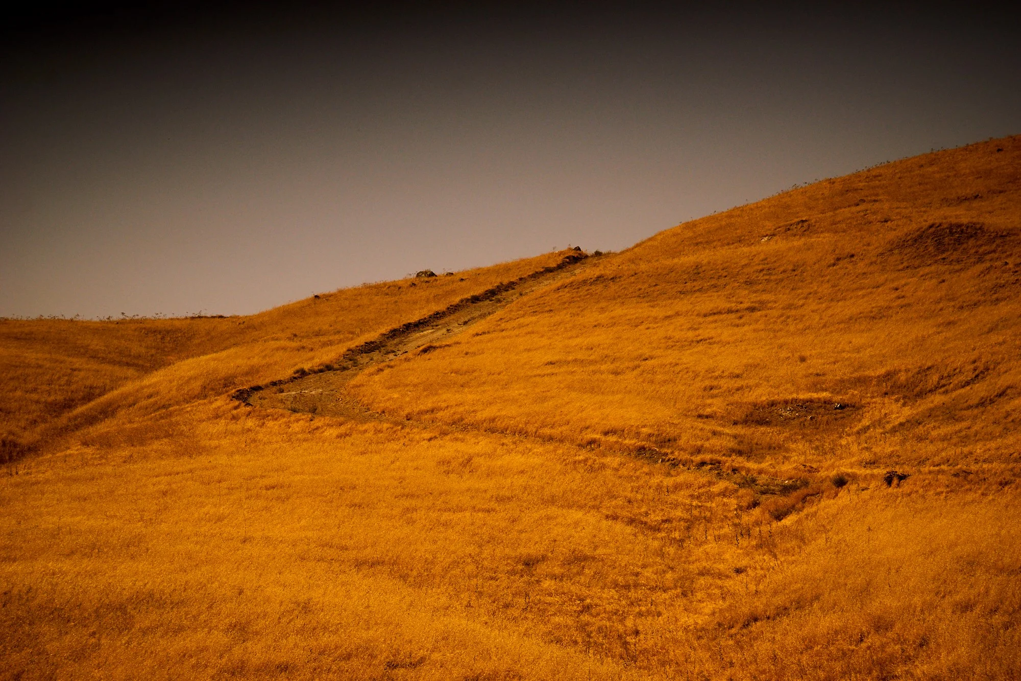 Golden Hills study Nº9