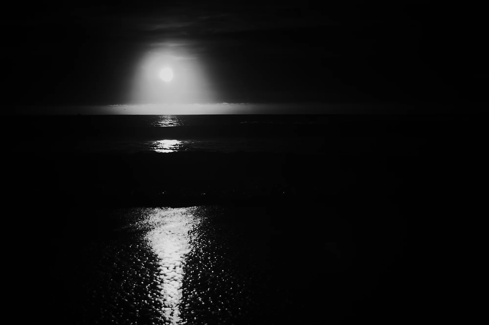 DSC02140.jpg