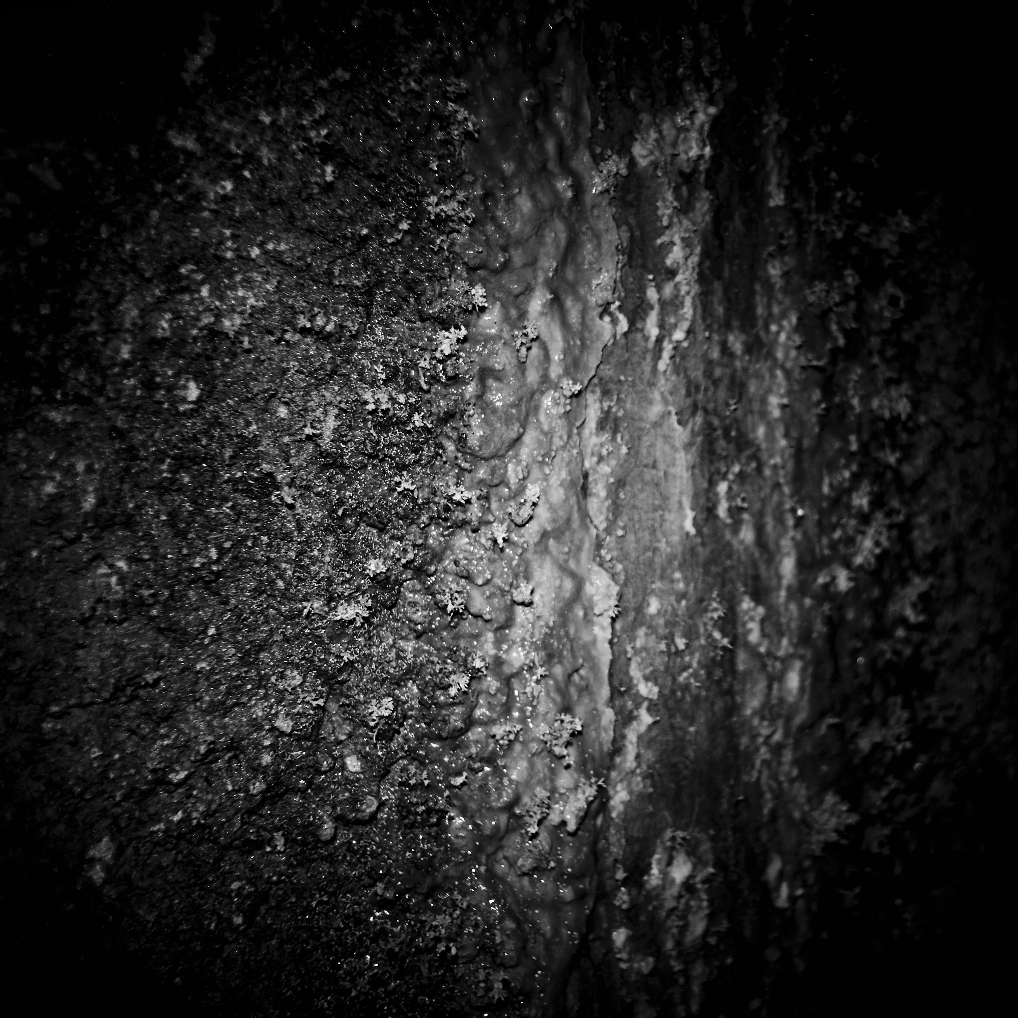 _DSC8051.jpg
