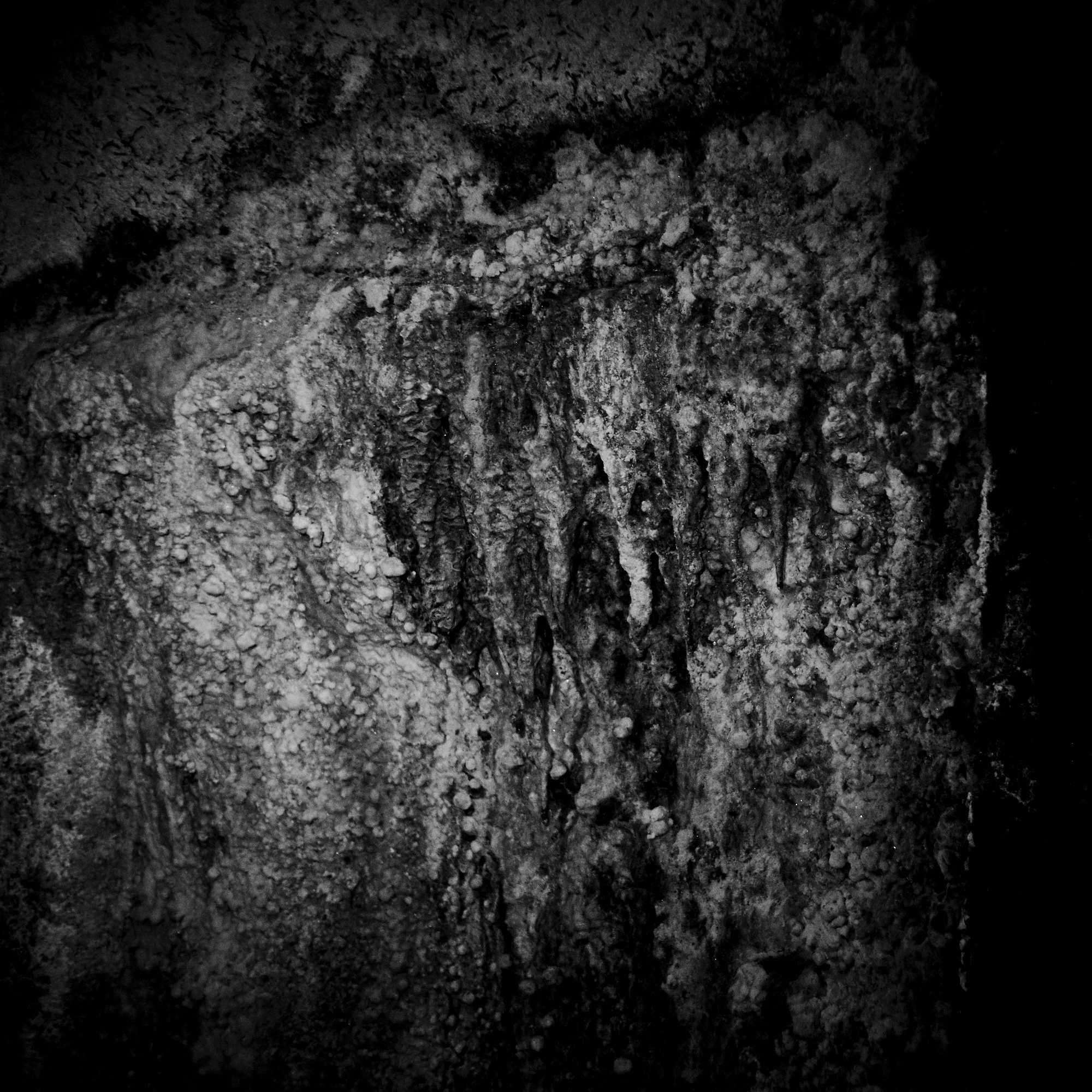 _DSC8069.jpg