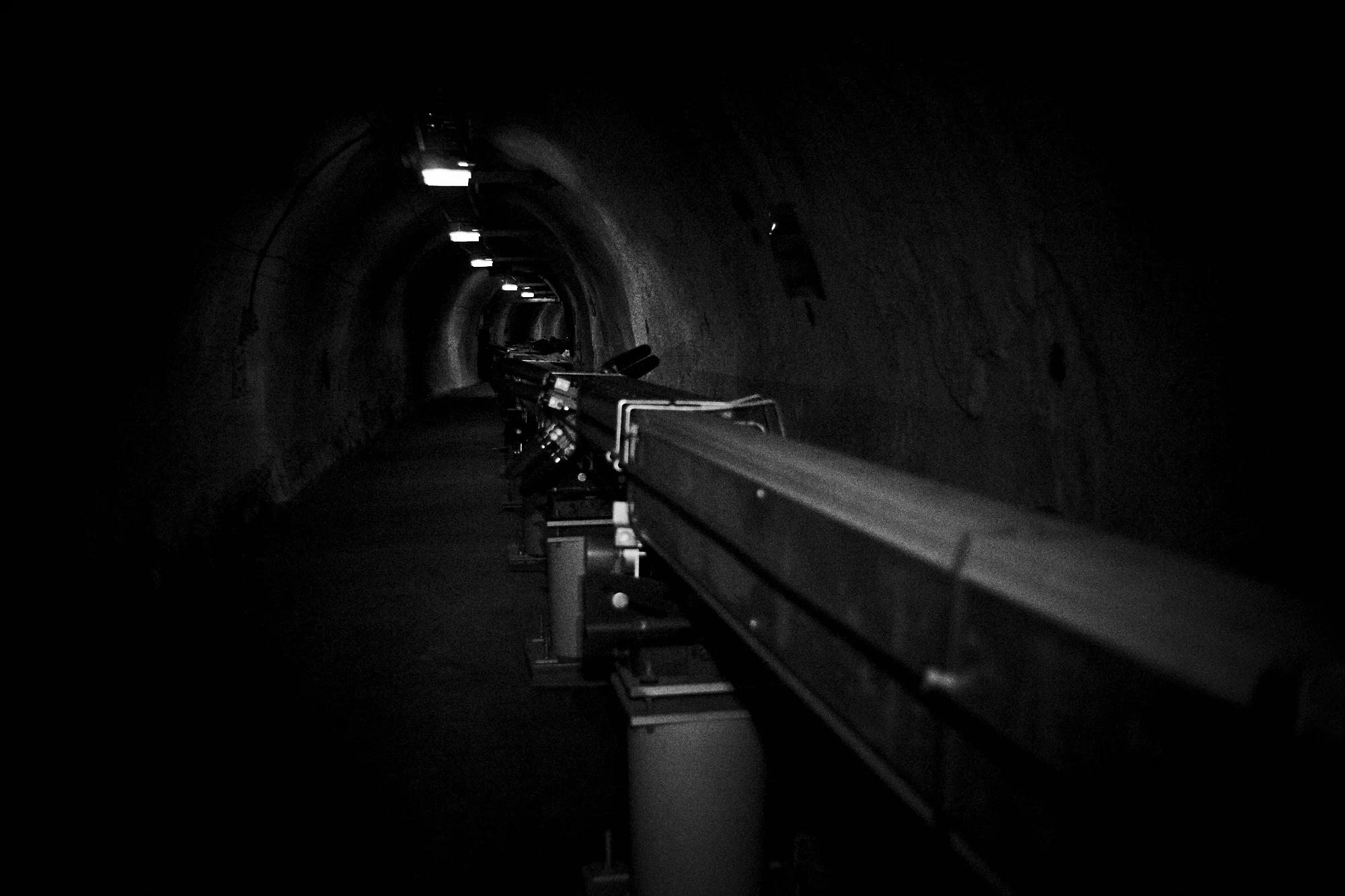 _DSC8082.jpg