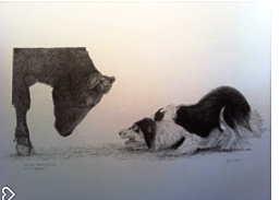 Border collie with bull drawing.png