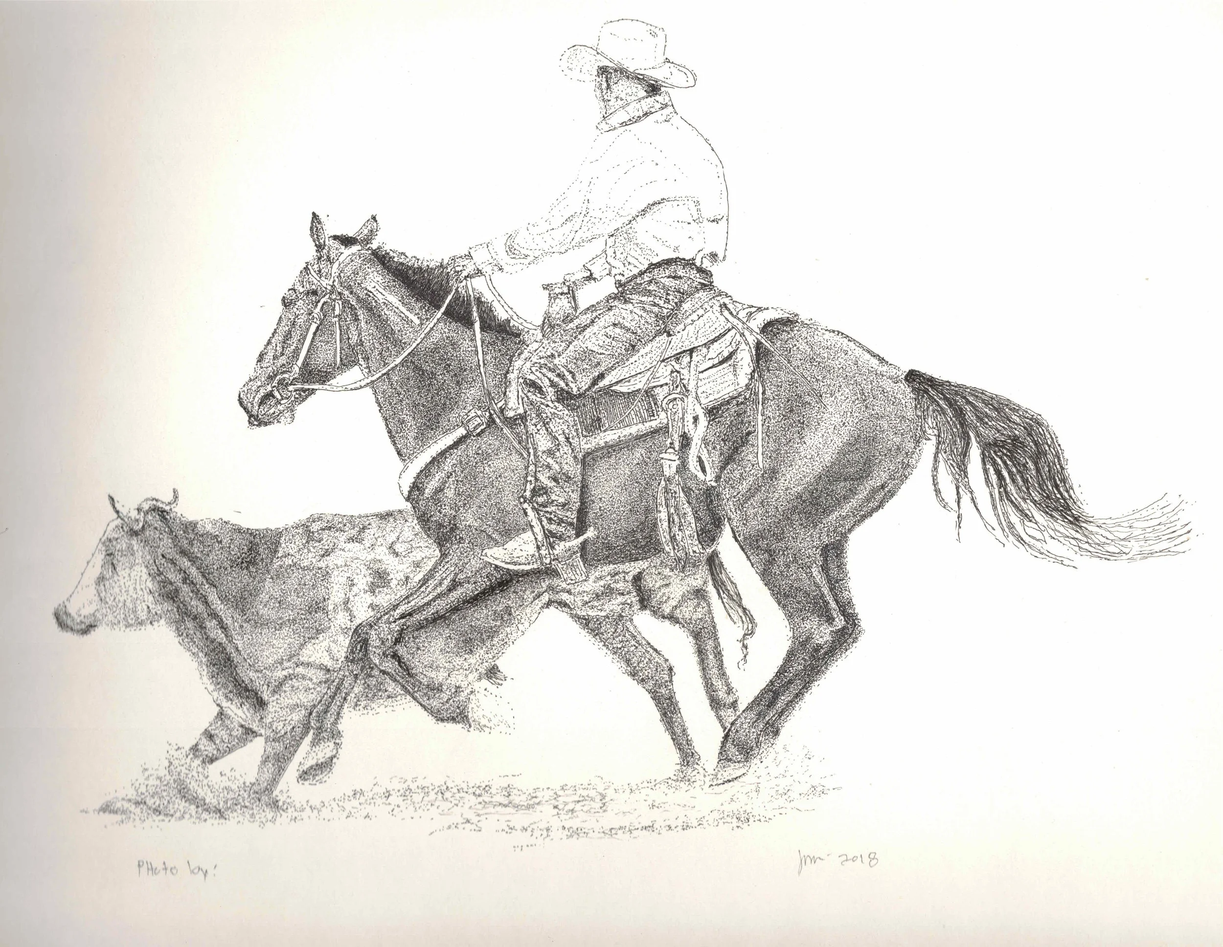 mustang working calf drawing .jpeg