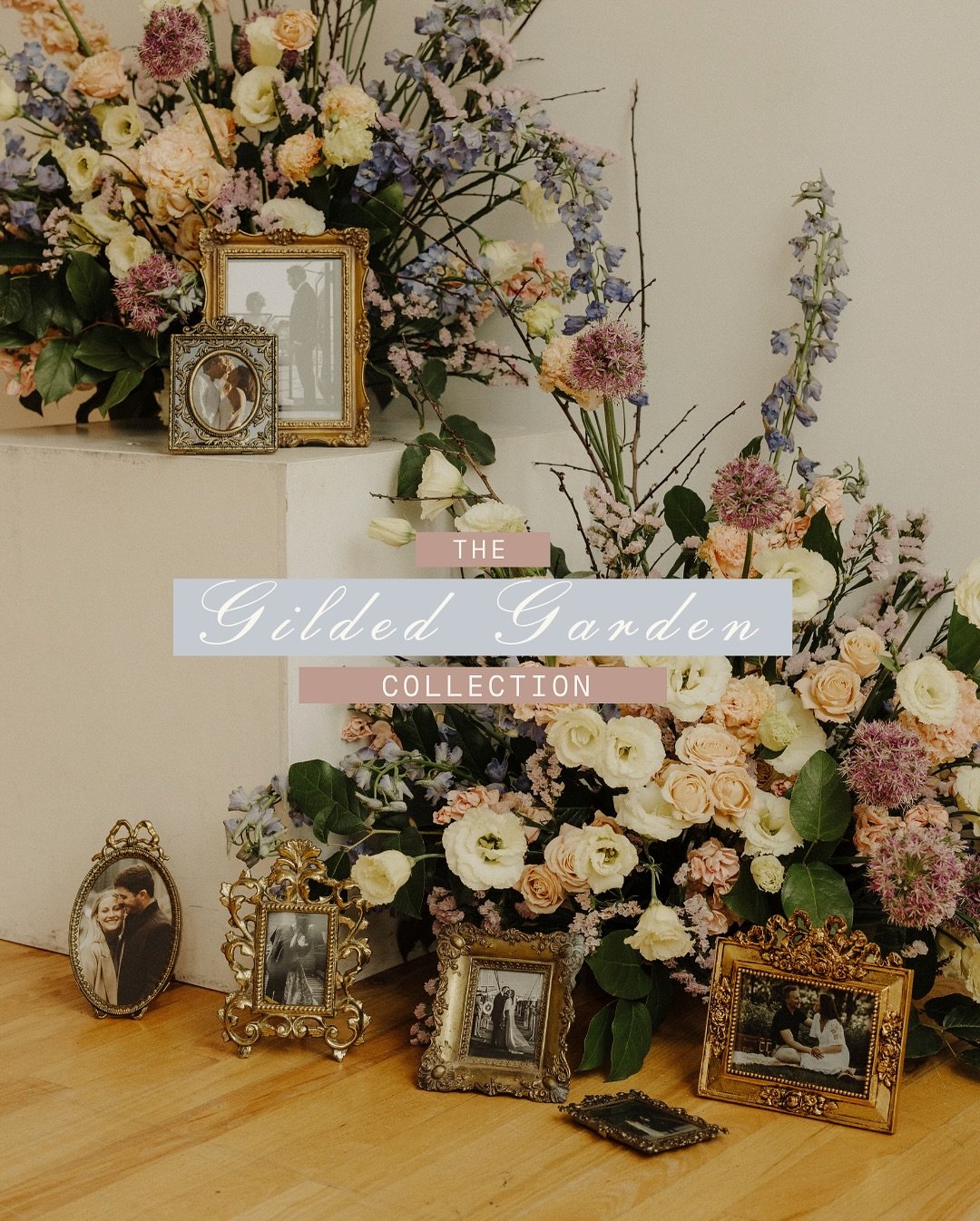 The Gilded Garden Collection is LIVE! ✨

You&rsquo;re going to fall in love with these six amazing frames! From my Round Top adventure in Texas to the most amazing hidden antique shop finds, some are authentic Italian pieces, and this collection incl
