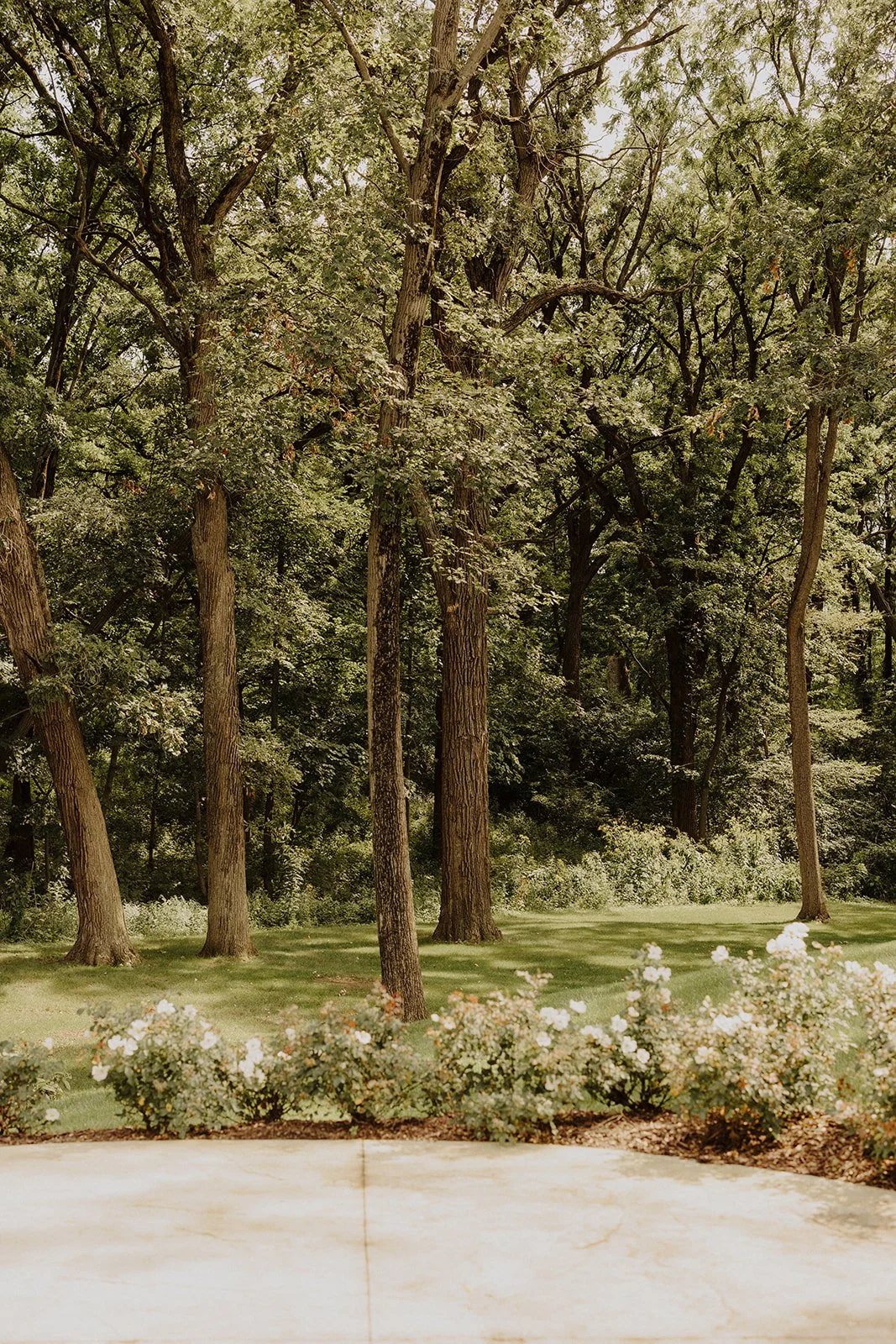 Montebello-Estates-Nikki-Kate-Photography- (7).jpg