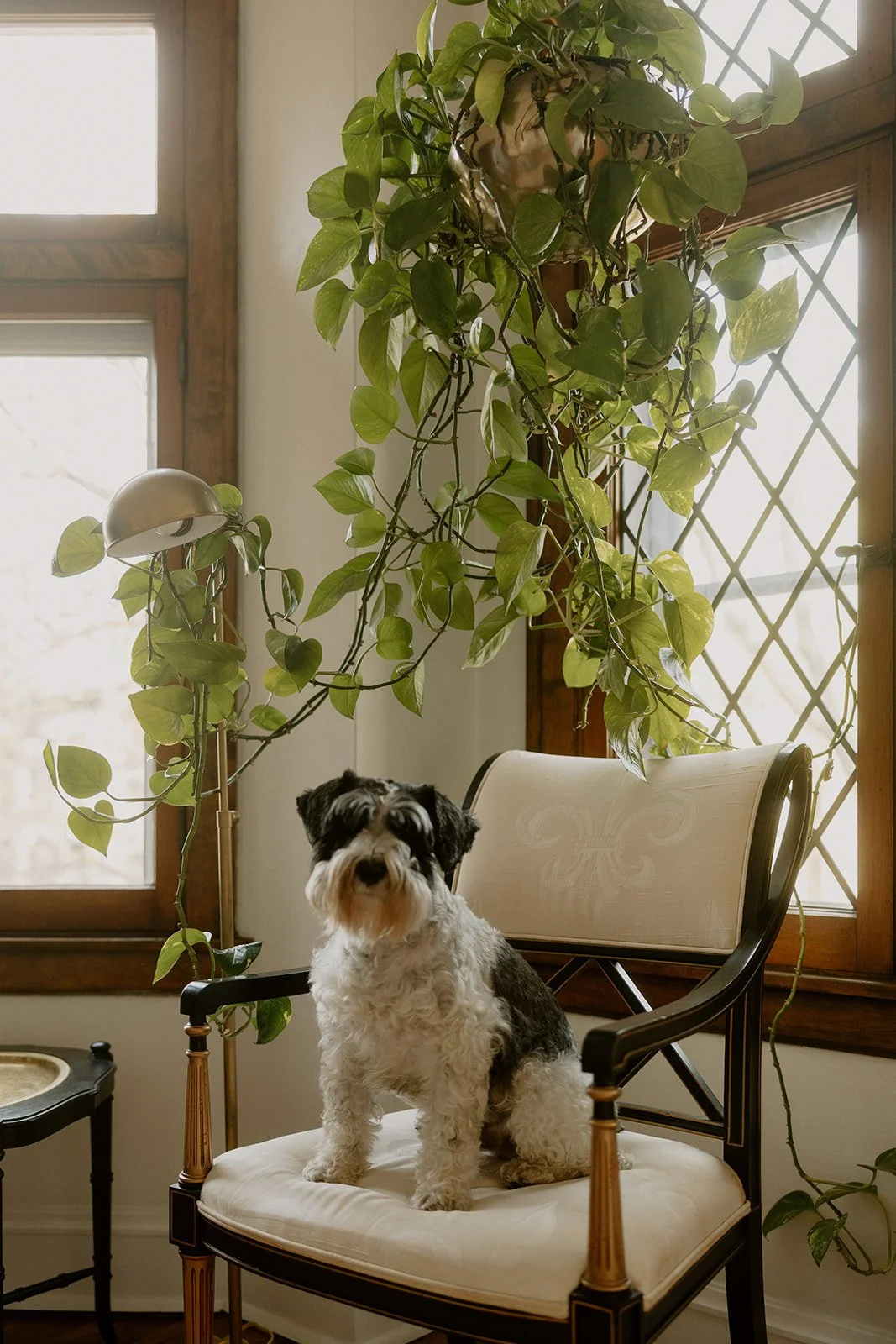 family-photos-chicago-nikki-kate-photography- (45).jpg