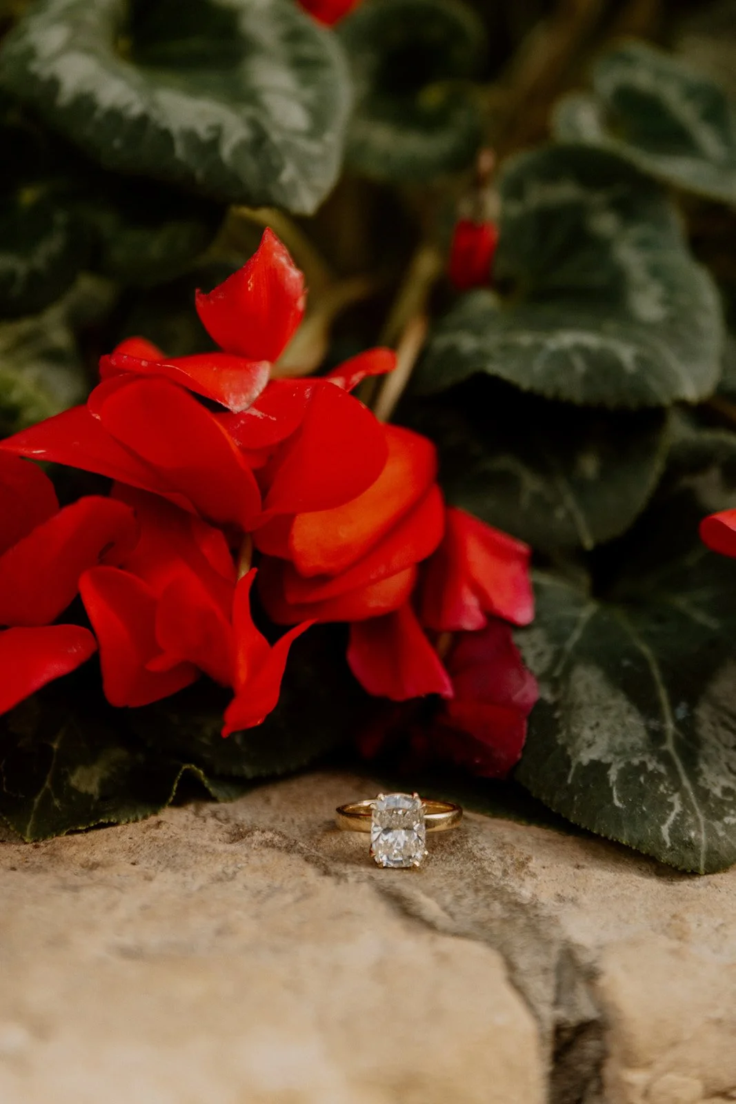 chicago-botanic-garden-engagement-photos-nikki-kate-photography- (32).jpg