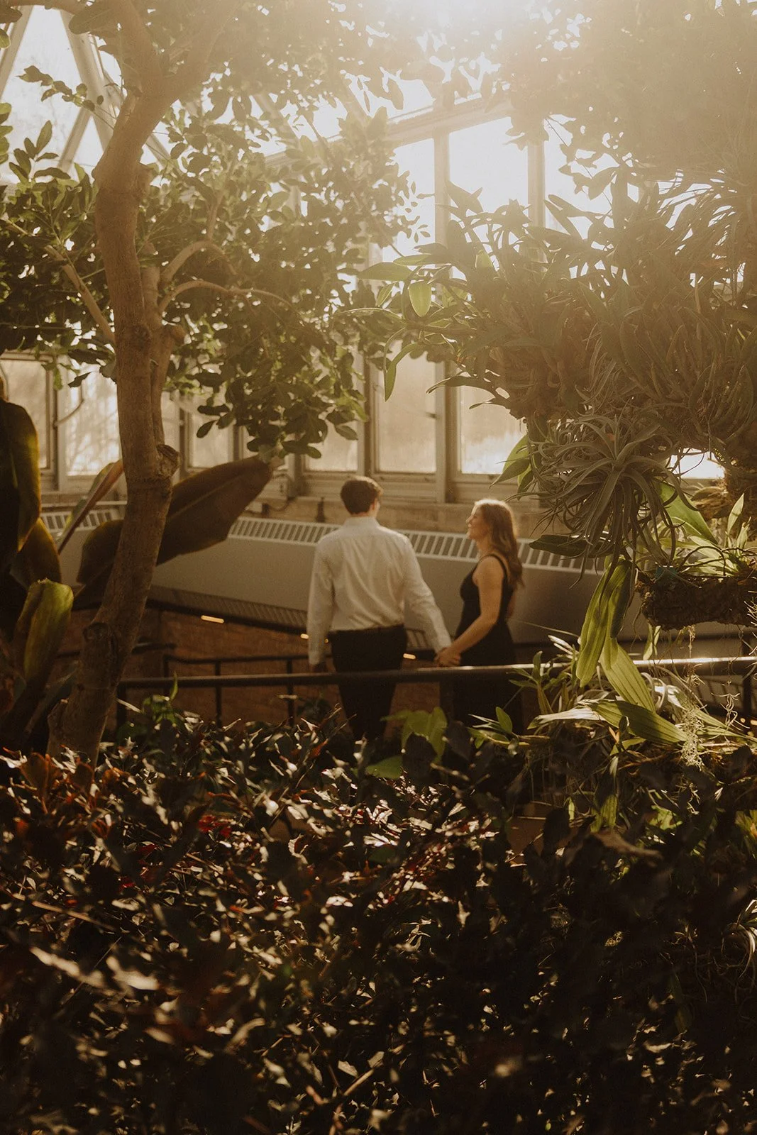 chicago-botanic-garden-engagement-photos-nikki-kate-photography- (19).jpg