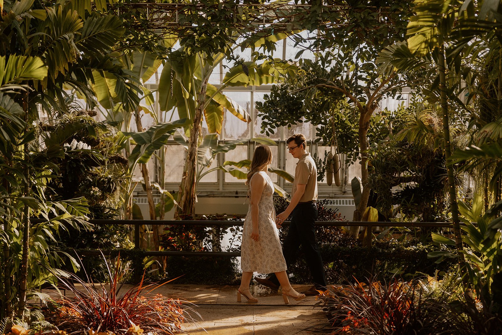A couple is photographed in a greenhouse at golden hour during Chicago Botanic Garden engagement photos.