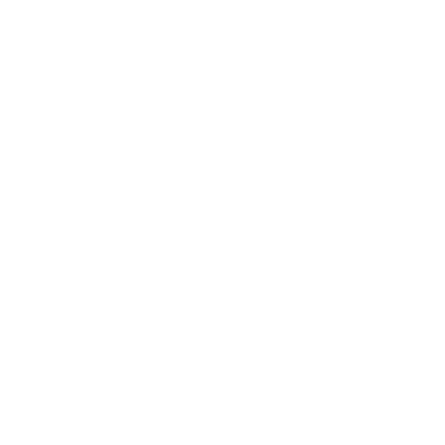 Velocity Business Advisors