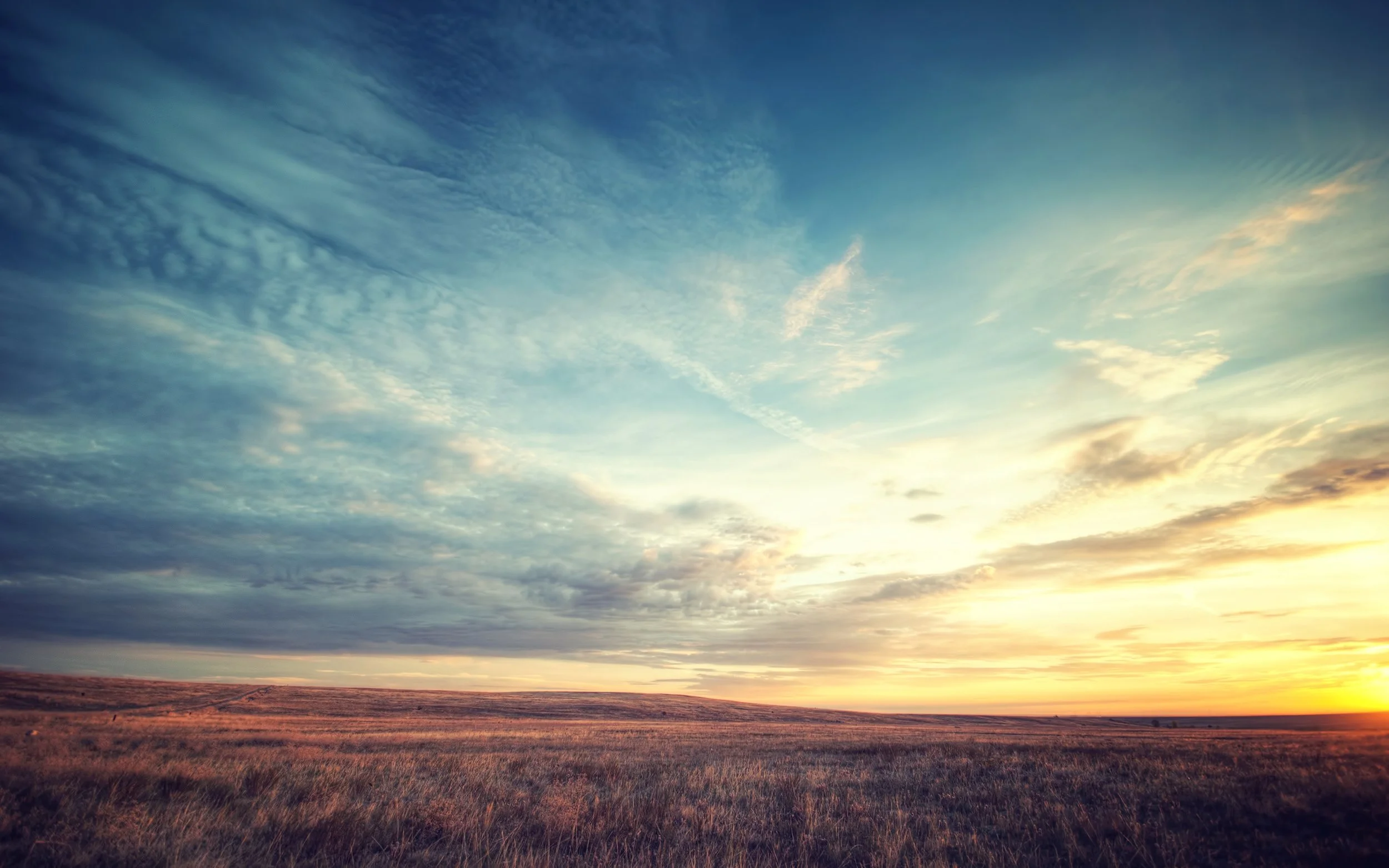 field_dawn_sky_beautiful_scenery_87654_2560x1600.jpg