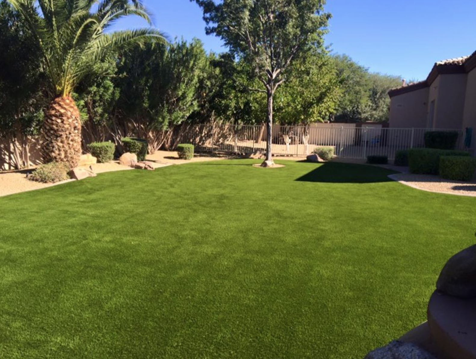  Artificial grass installation in backyard with palm trees and paver walkway 