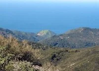  “ A NARROW LOT ON A HILLSIDE IS A HIDDEN TREASURE BY DESIGN ” –  The Carmel Pine Cone  