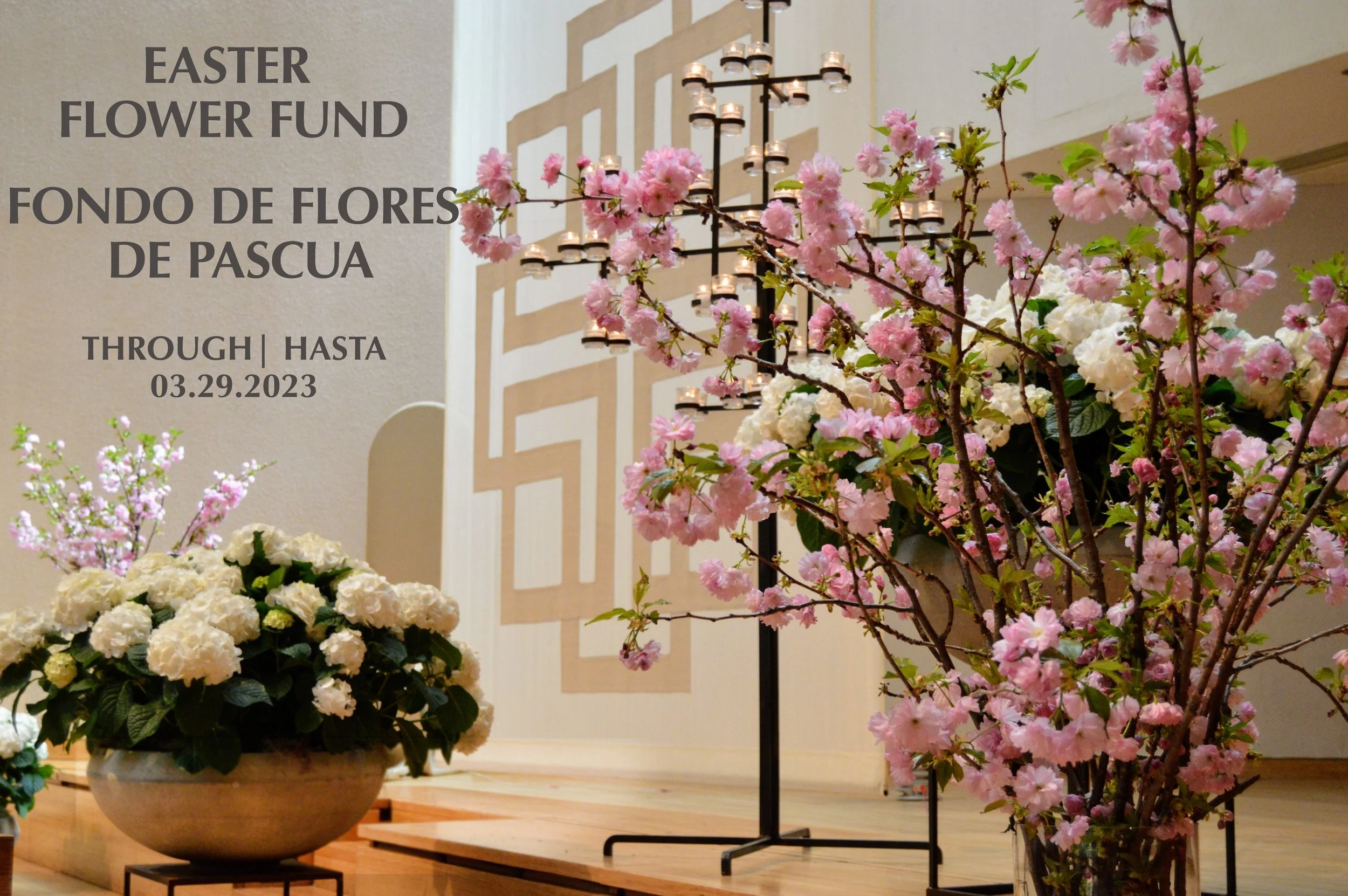 Easter Flower Fund